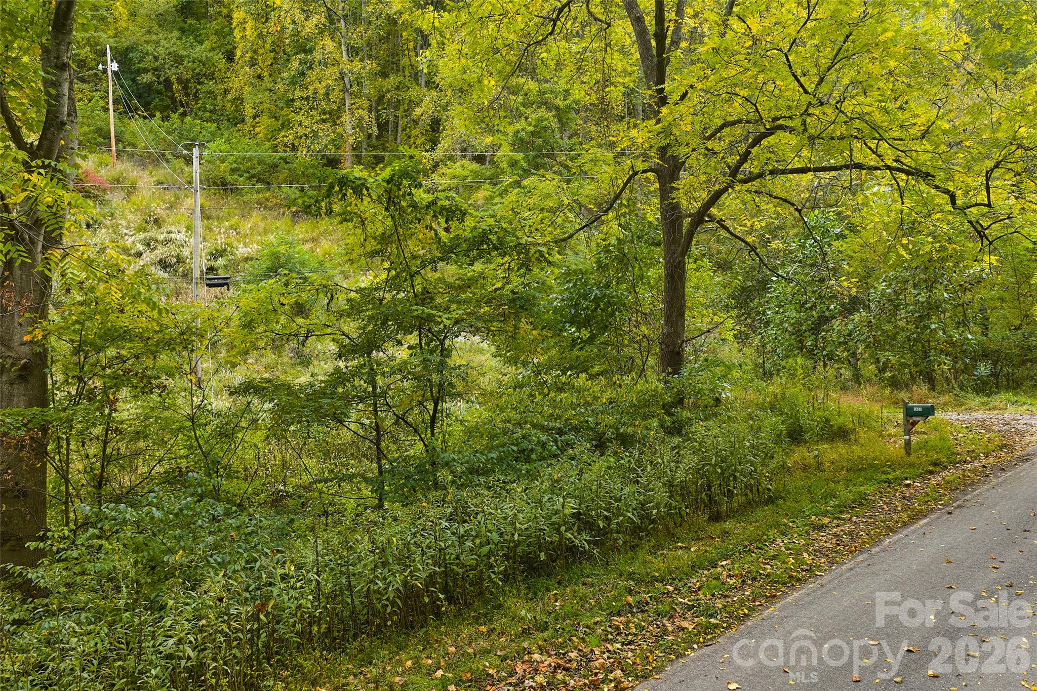 View from Road - 348 Chandler Creek Road, Mars Hill