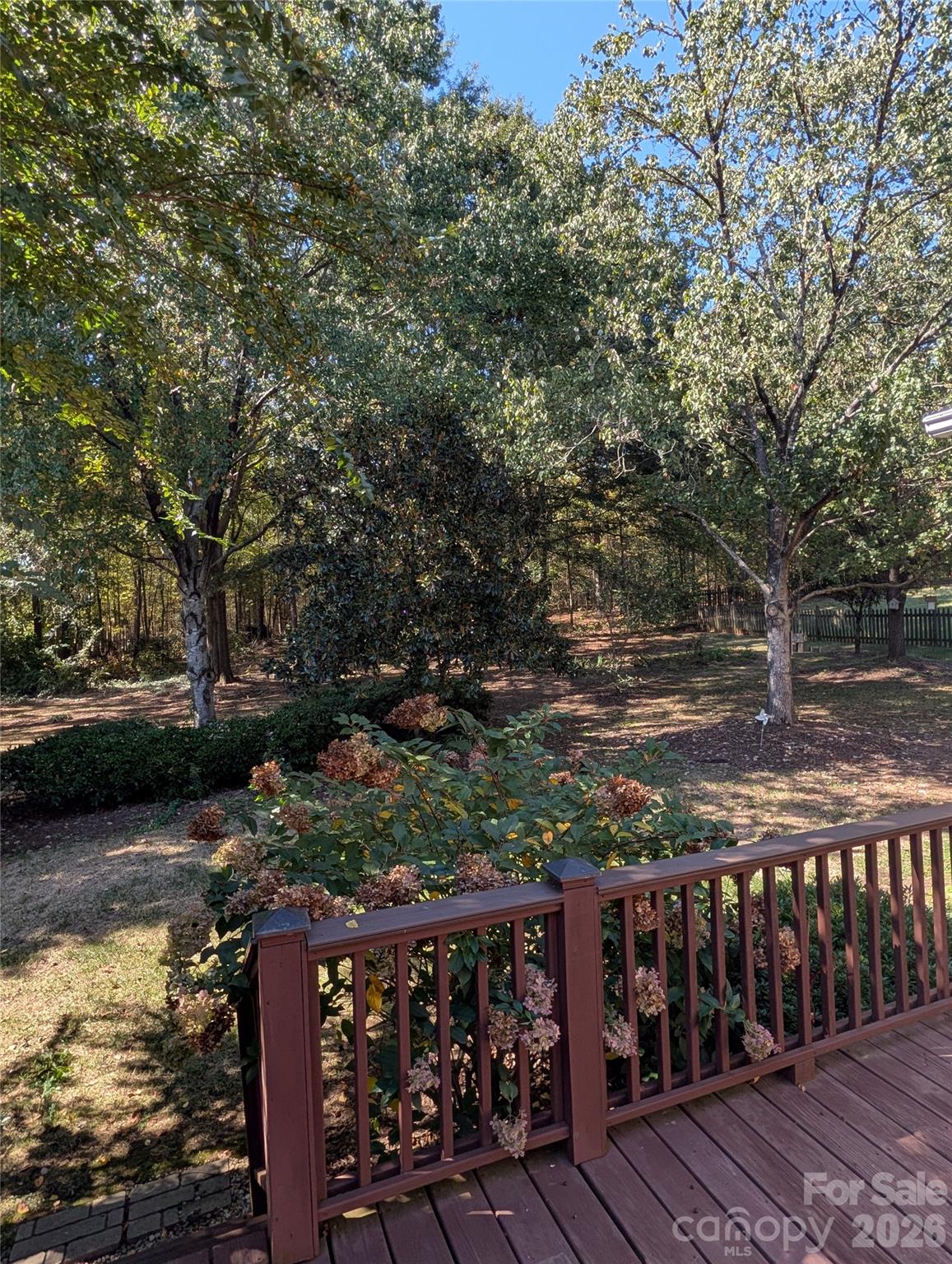 Backyard view - so private! - 890 Lyerly Ridge Road NW, Concord