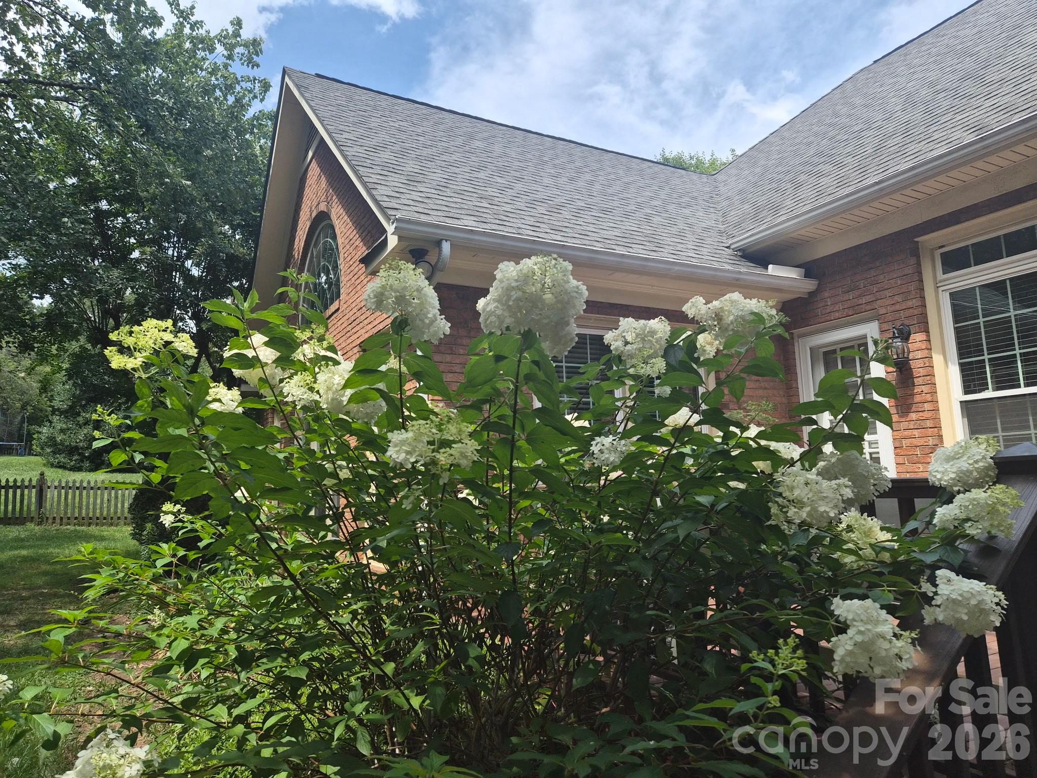 Summer blooms in the backyard - 890 Lyerly Ridge Road NW, Concord