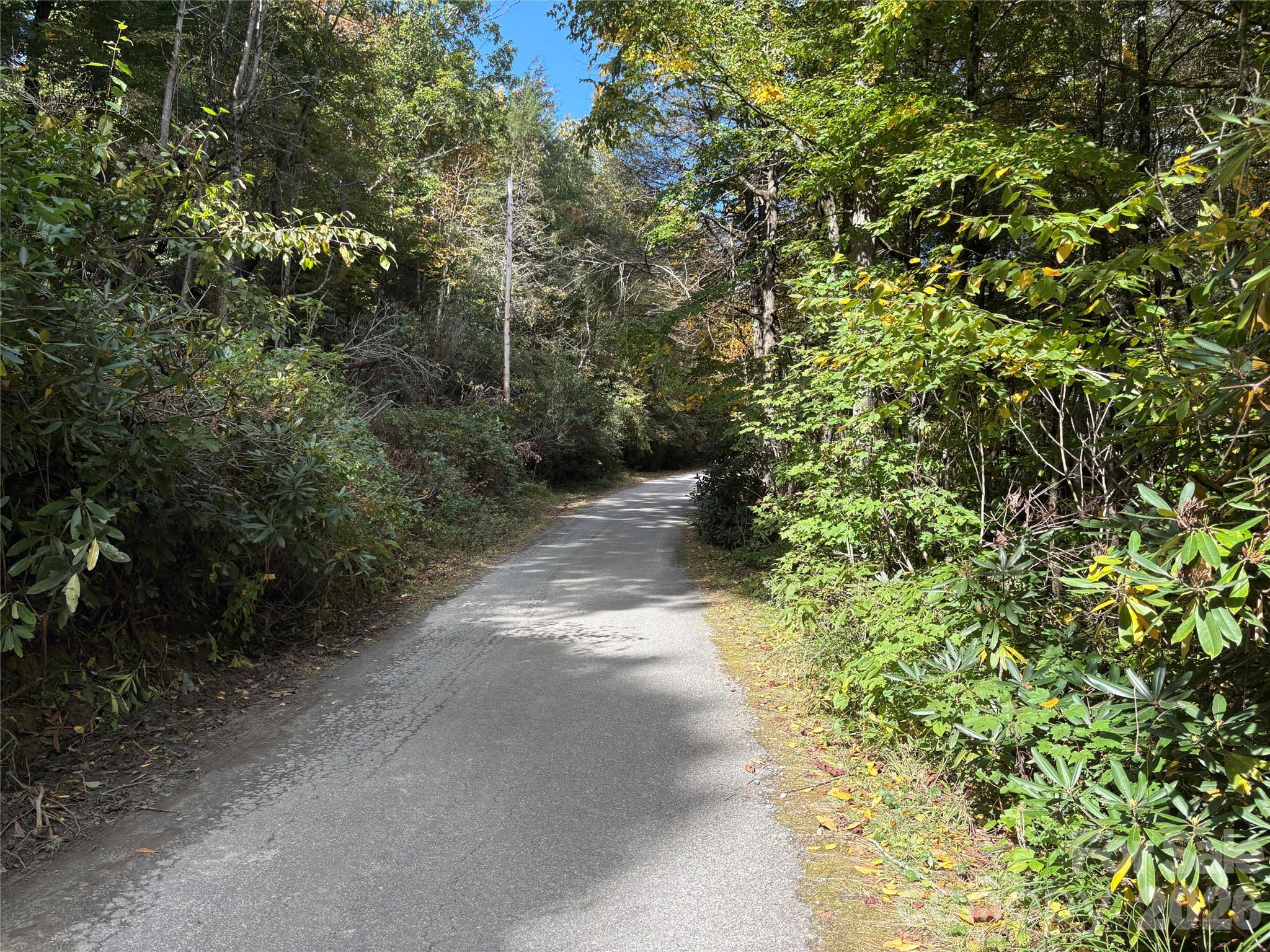 Lot at 81 Bird Creek Estates Road, Black Mountain, photo 8 of 8