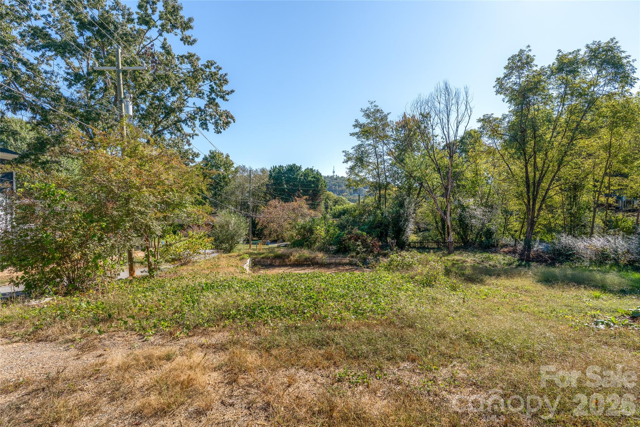 Lot at 271 S French Broad Avenue, Asheville, photo 4 of 10