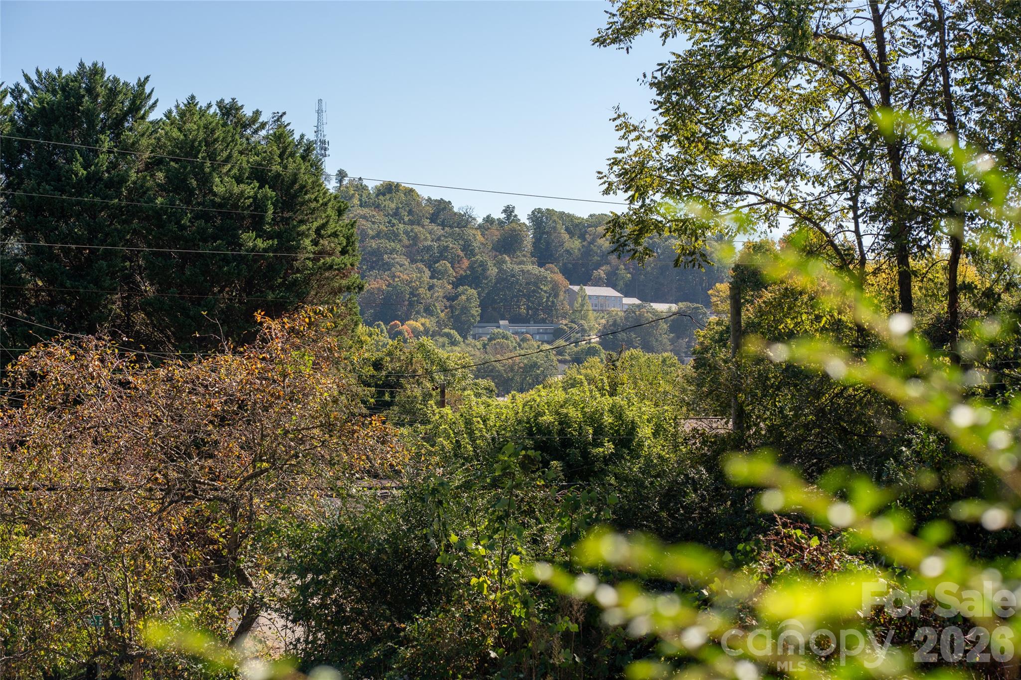 Lot at 271 S French Broad Avenue, Asheville, photo 6 of 10