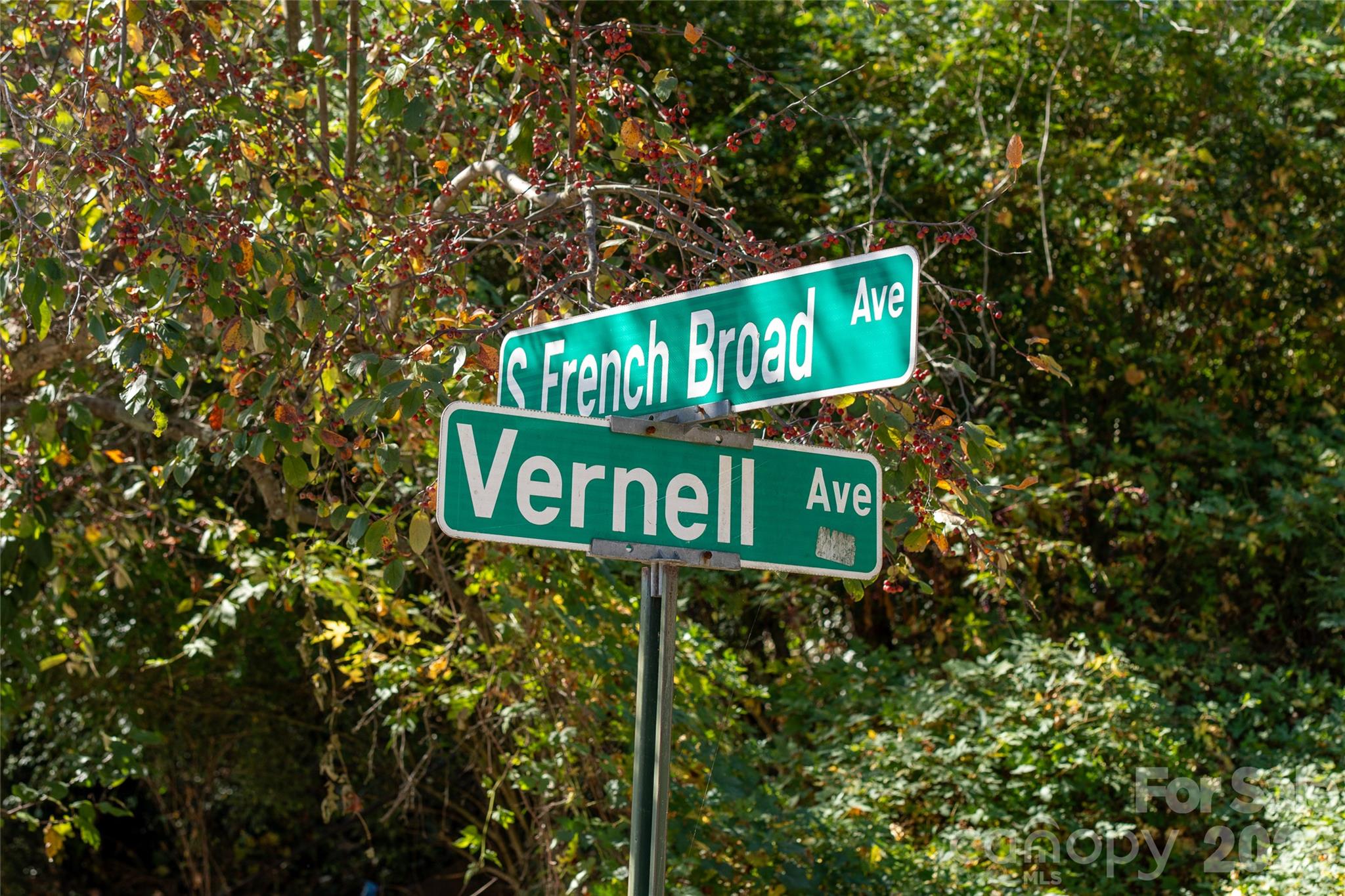 Lot at 271 S French Broad Avenue, Asheville, photo 10 of 10