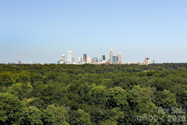 Charlotte’s skyline steals the show—where city lights, energy, and Southern charm rise high! - 5215 Macvittie Lane, Charlotte