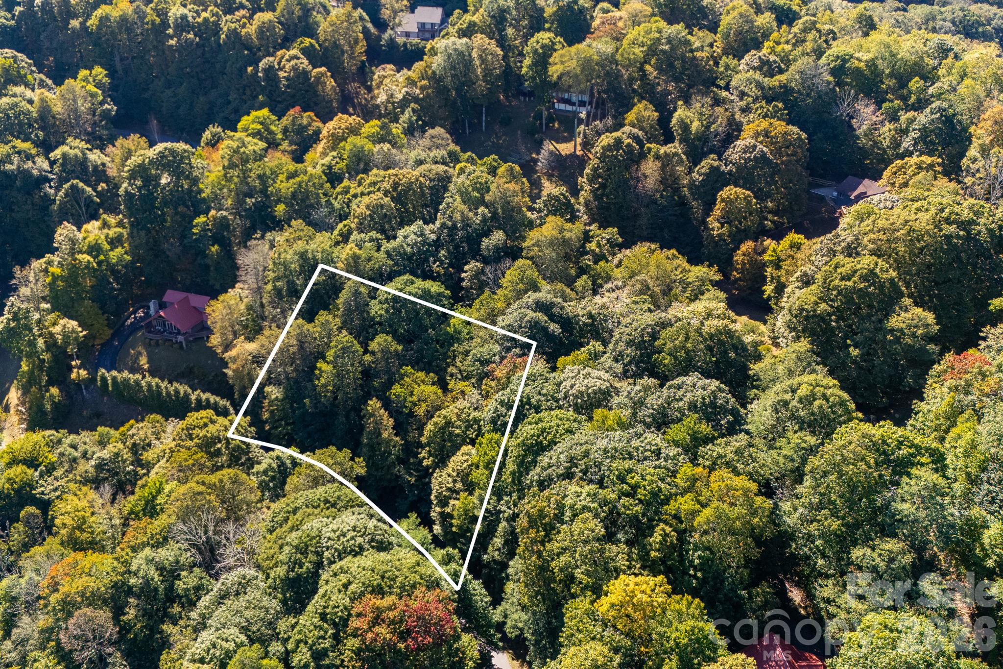 Elevation equals cooler summer temps - 74 Goldenleaf Road, Mars Hill