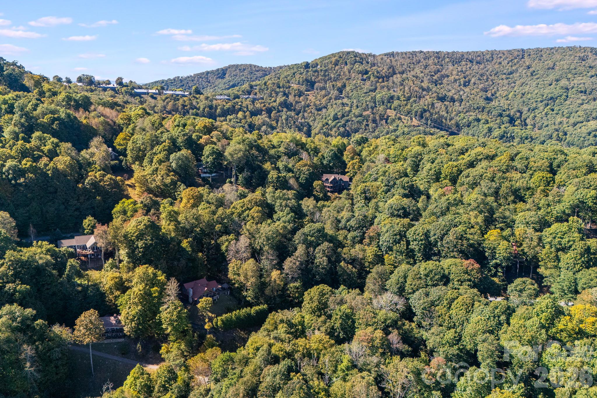 High elevation community Wolf Laurel - 74 Goldenleaf Road, Mars Hill