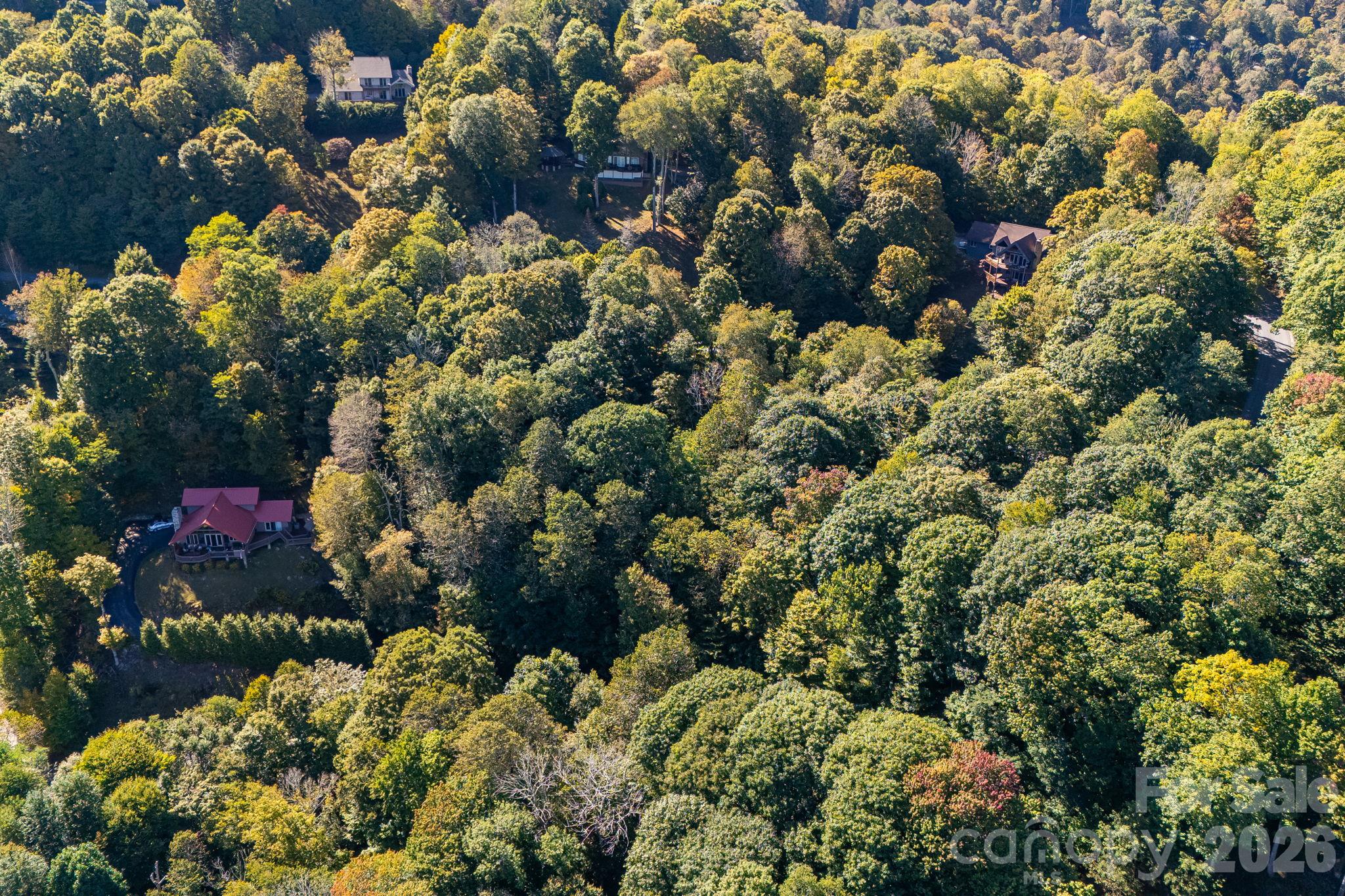 Lot at 74 Goldenleaf Road, Mars Hill, photo 10 of 20