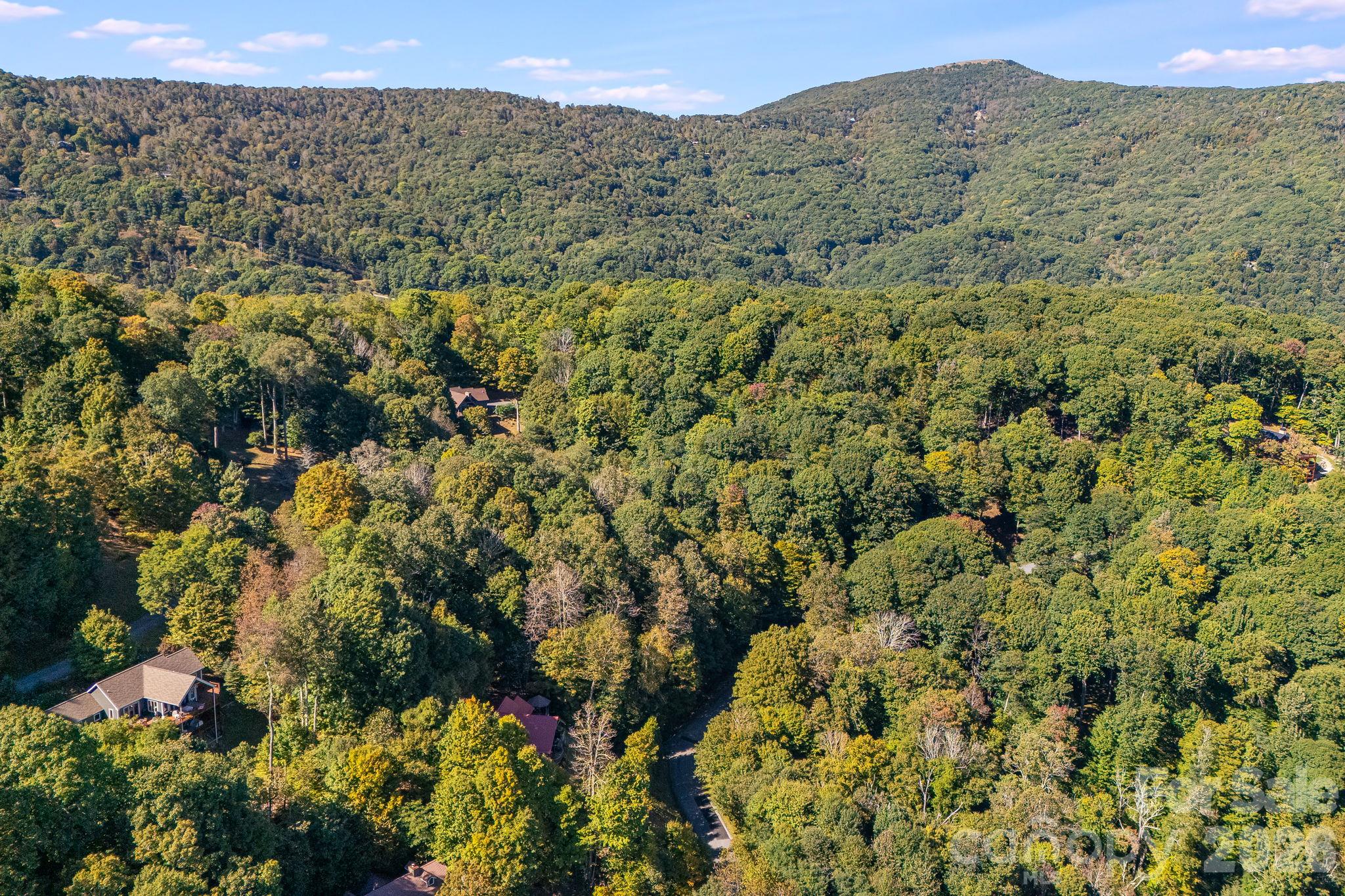 Lot at 74 Goldenleaf Road, Mars Hill, photo 11 of 20