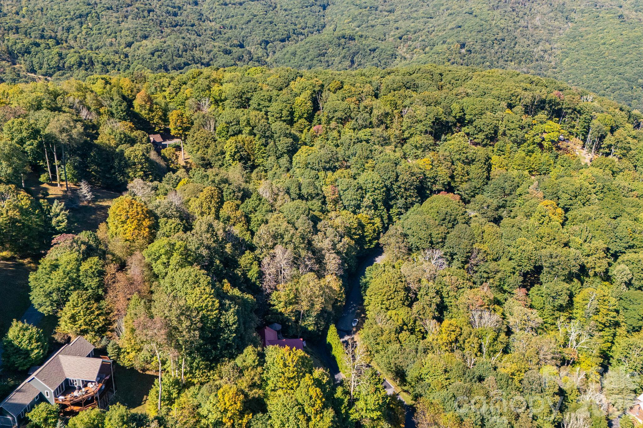 Lot at 74 Goldenleaf Road, Mars Hill, photo 12 of 20