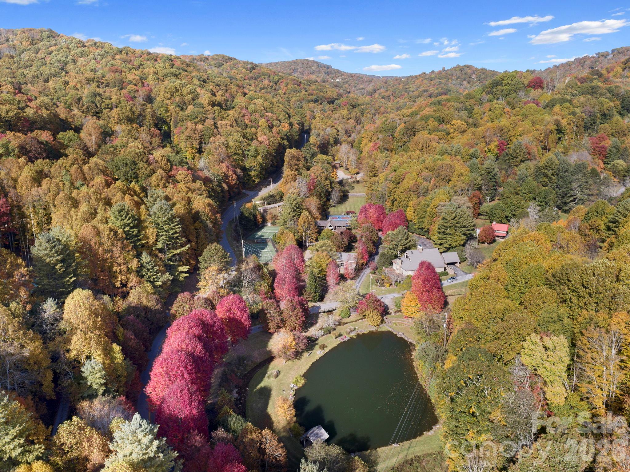 Stocked trout pond - 74 Goldenleaf Road, Mars Hill