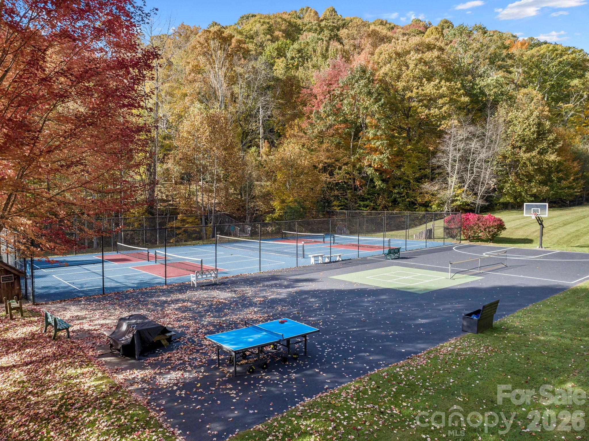 Village Club amenities sports courts - 74 Goldenleaf Road, Mars Hill