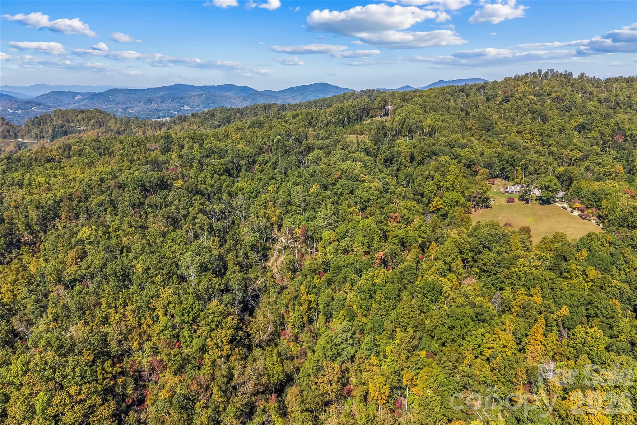 Acreage at 605 Lower Loop Drive, Fletcher, photo 2 of 14