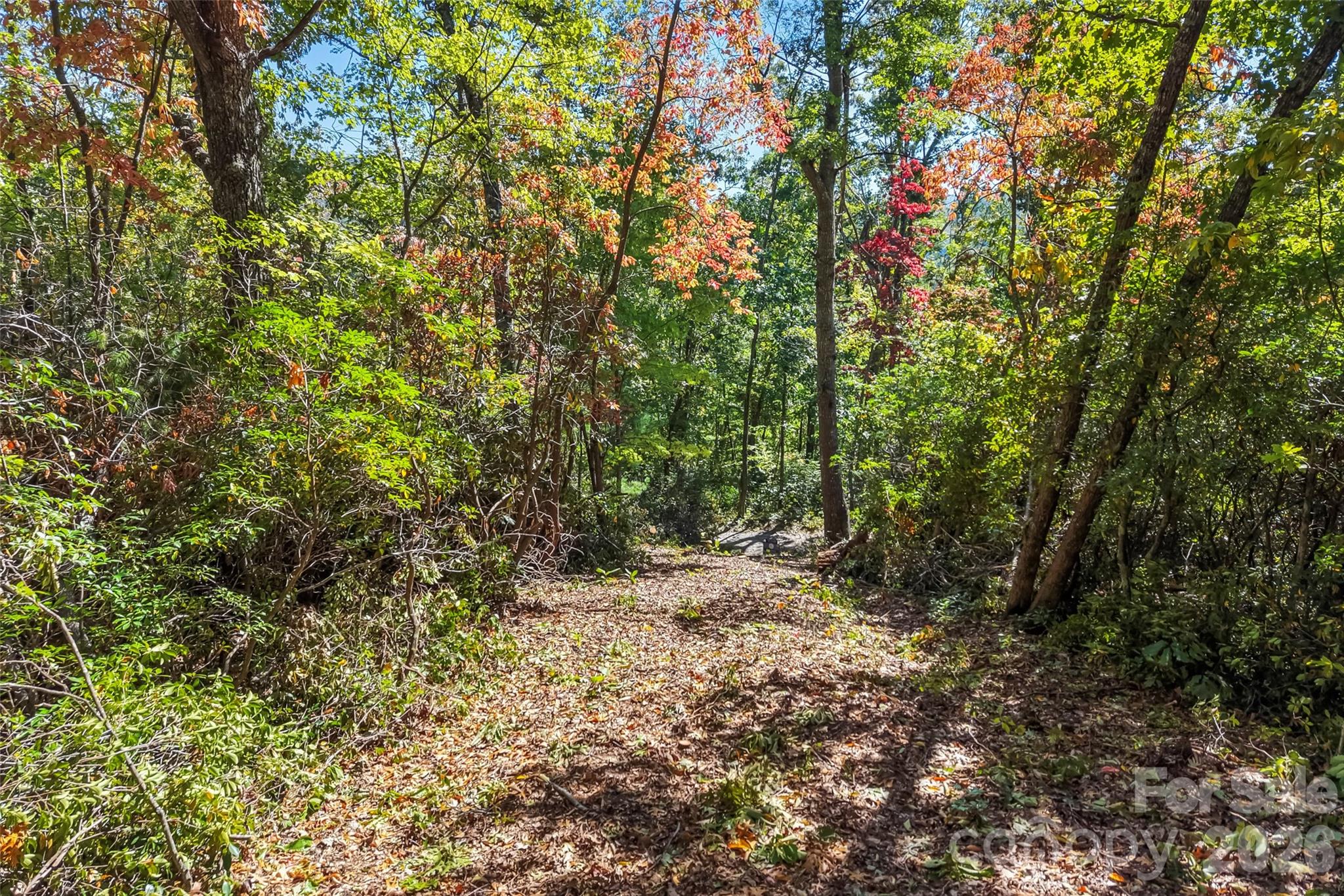 Acreage at 605 Lower Loop Drive, Fletcher, photo 3 of 14
