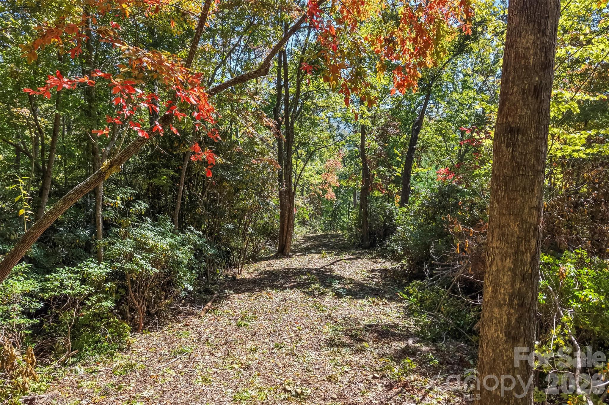 Acreage at 605 Lower Loop Drive, Fletcher, photo 4 of 14