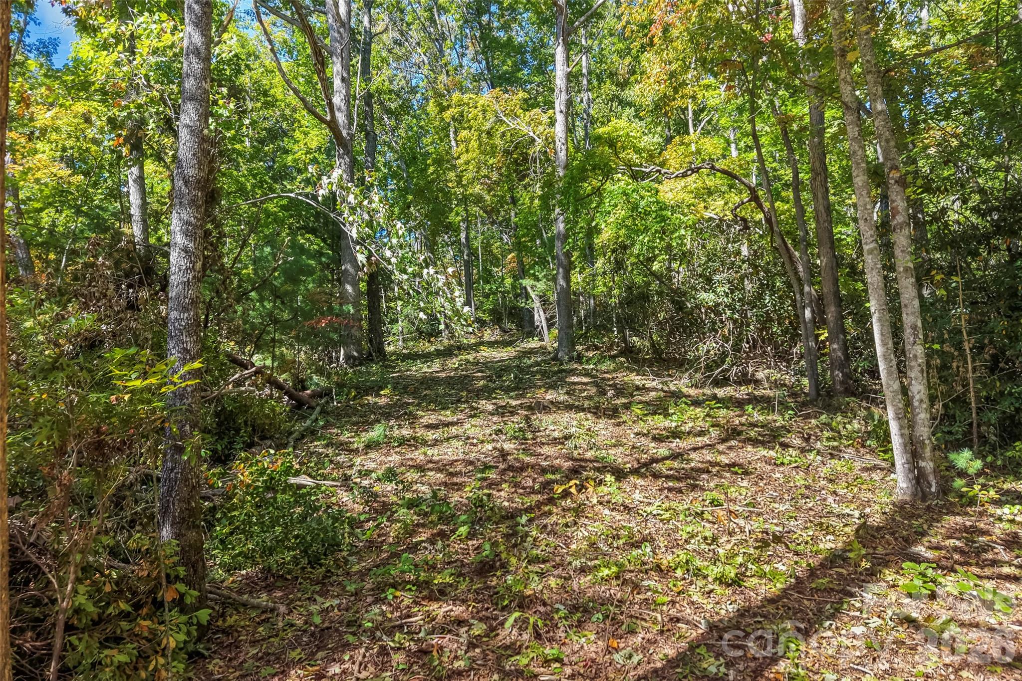 Acreage at 605 Lower Loop Drive, Fletcher, photo 5 of 14