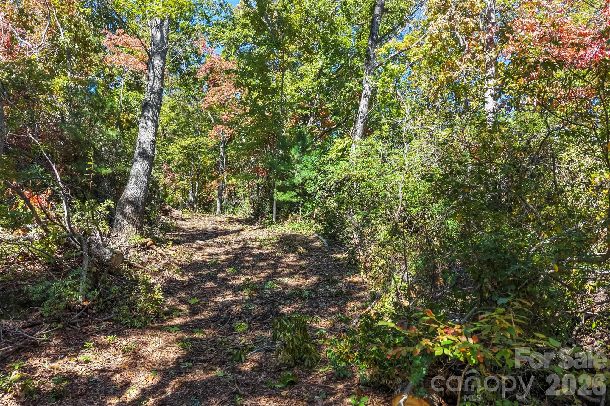 Acreage at 605 Lower Loop Drive, Fletcher, photo 8 of 14