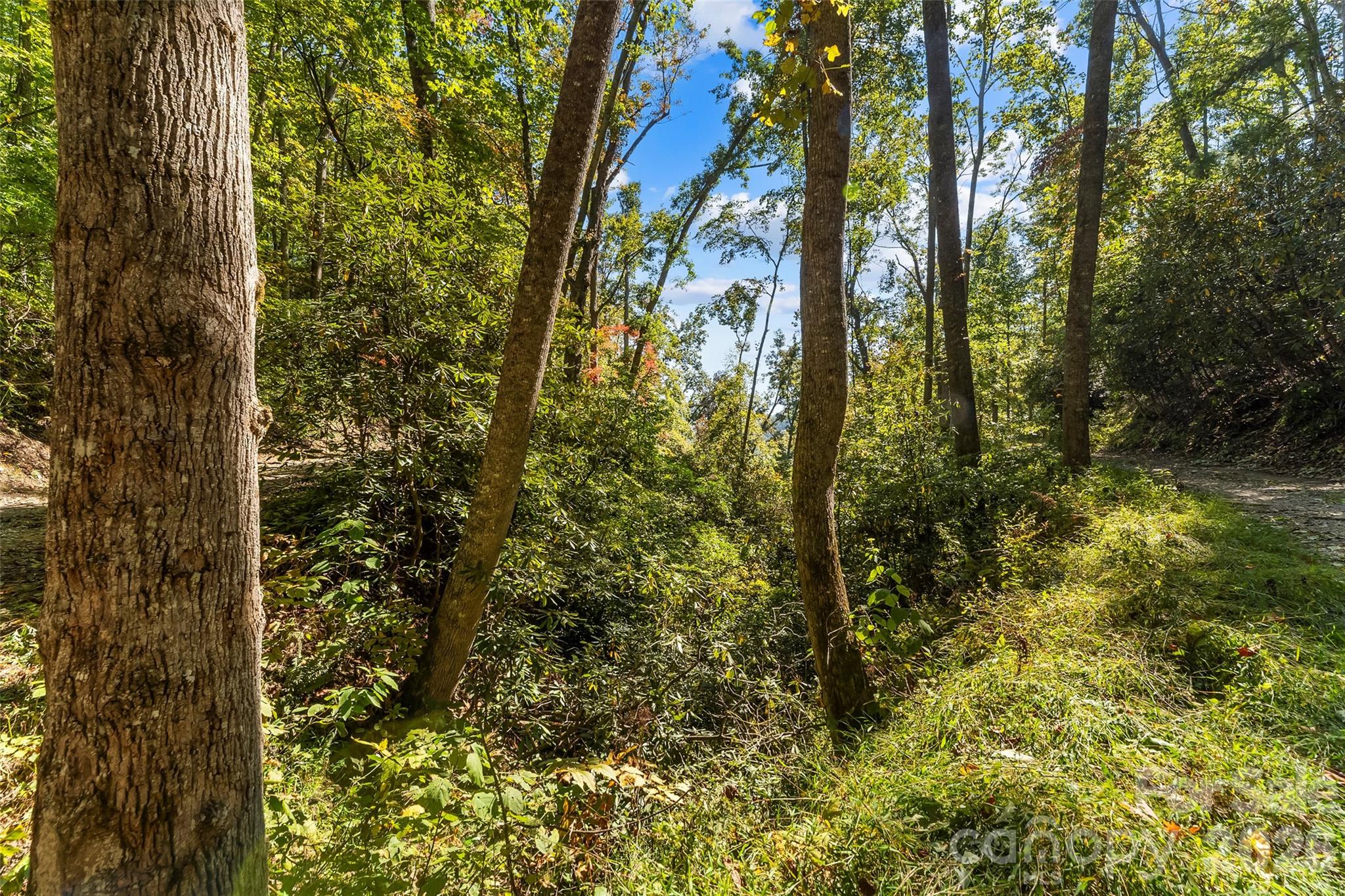 Acreage at 605 Lower Loop Drive, Fletcher, photo 11 of 14