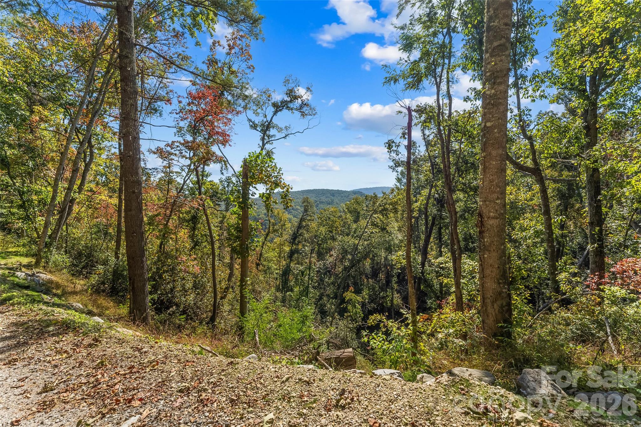 Acreage at 605 Lower Loop Drive, Fletcher, photo 13 of 14
