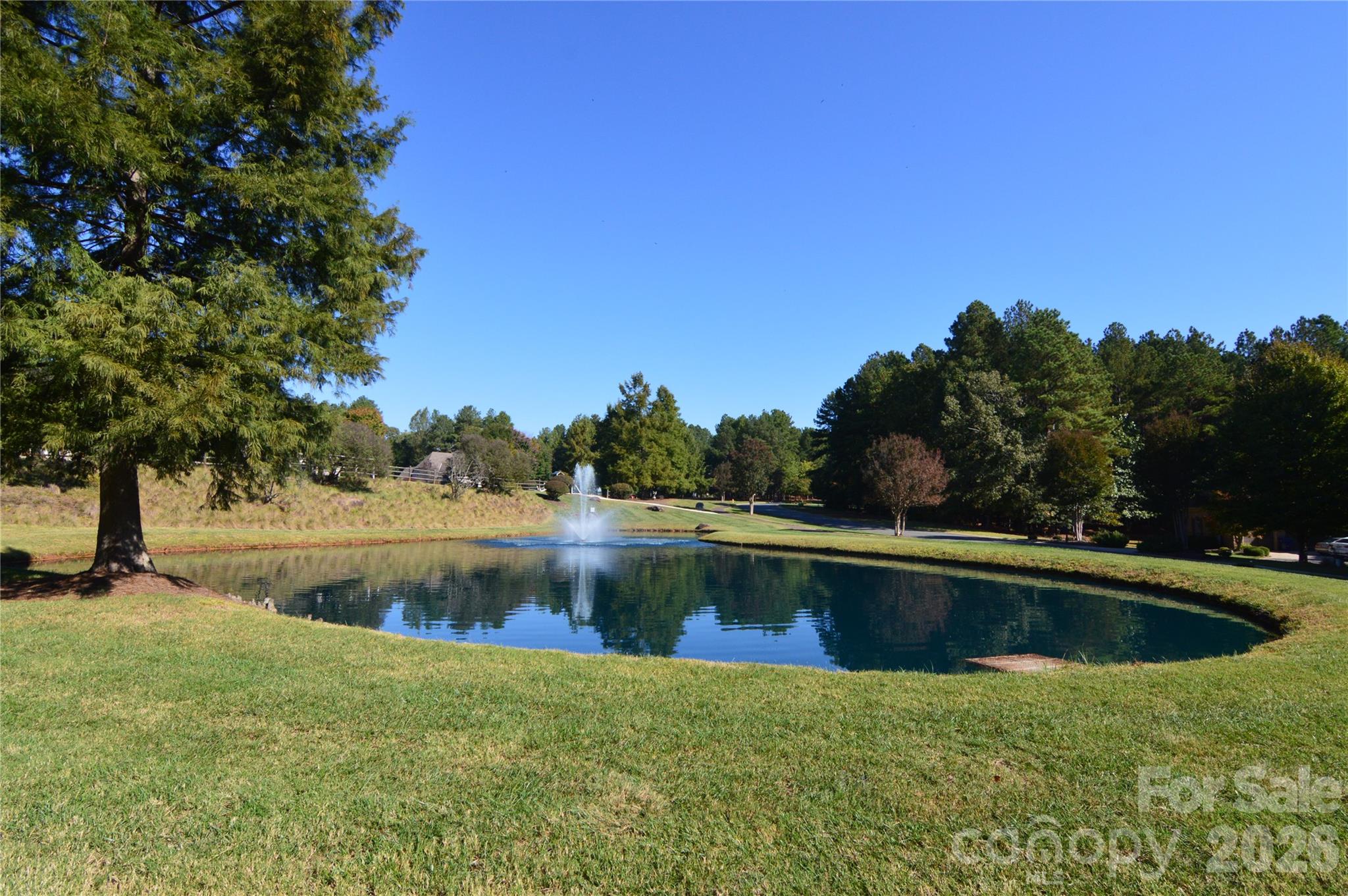 Pond Across From Lot - 4001 Deer Park Lane, Belmont