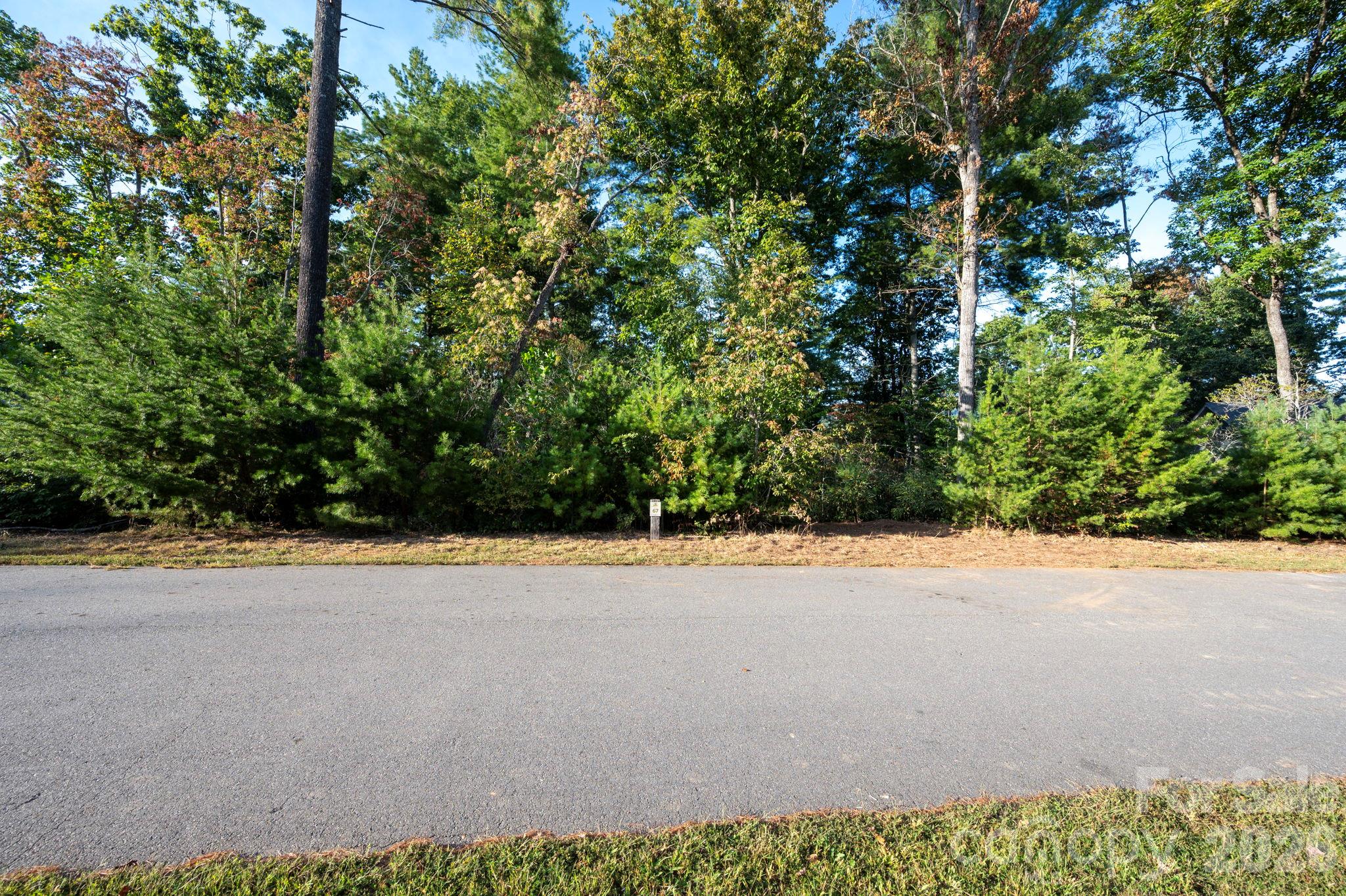 Plenty of road frontage - 30 Hawberry Court, Asheville