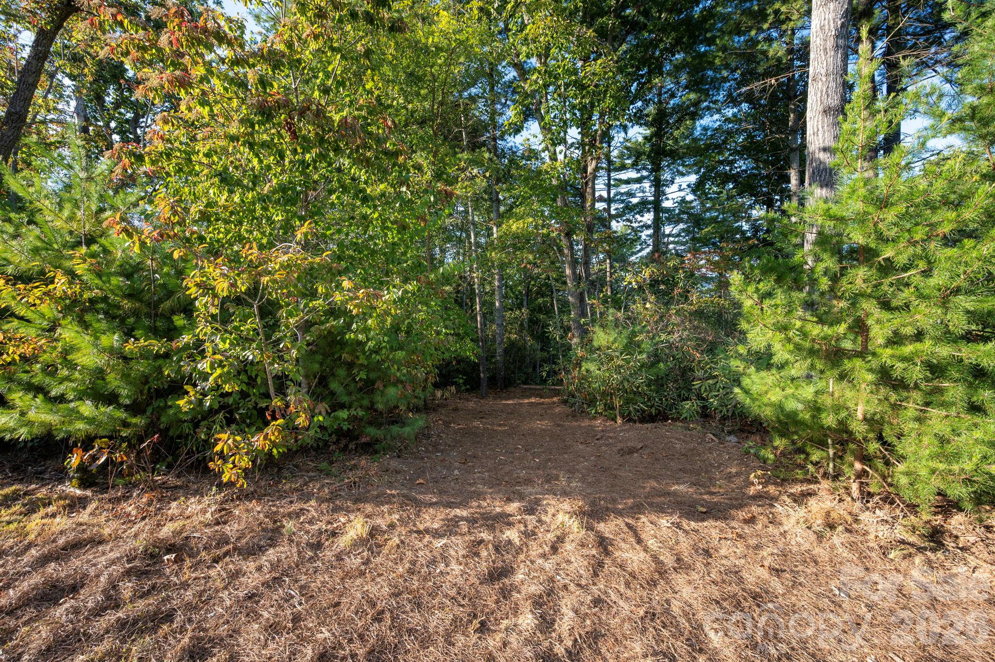 Lot at 30 Hawberry Court, Asheville, photo 7 of 22