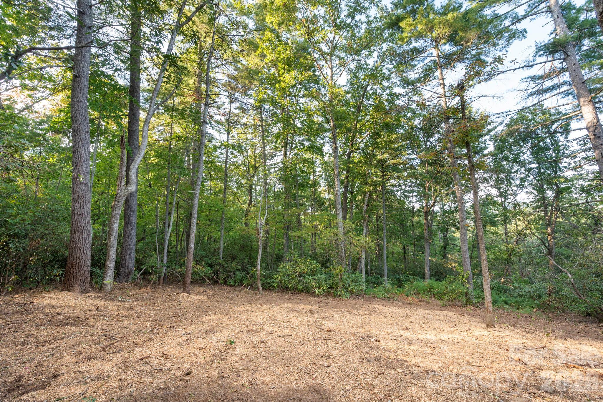 Lot at 30 Hawberry Court, Asheville, photo 9 of 22
