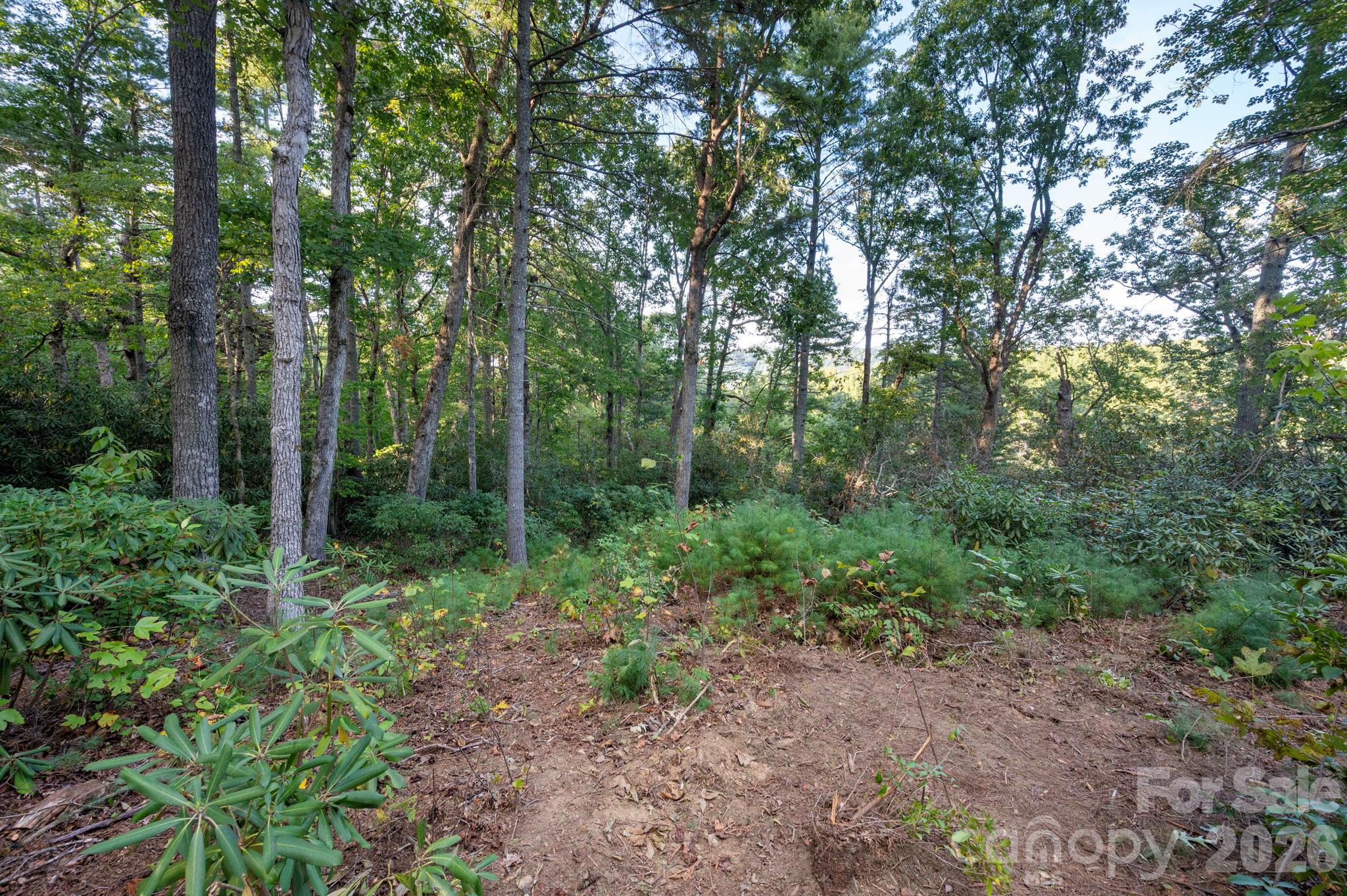 Lot at 30 Hawberry Court, Asheville, photo 10 of 22