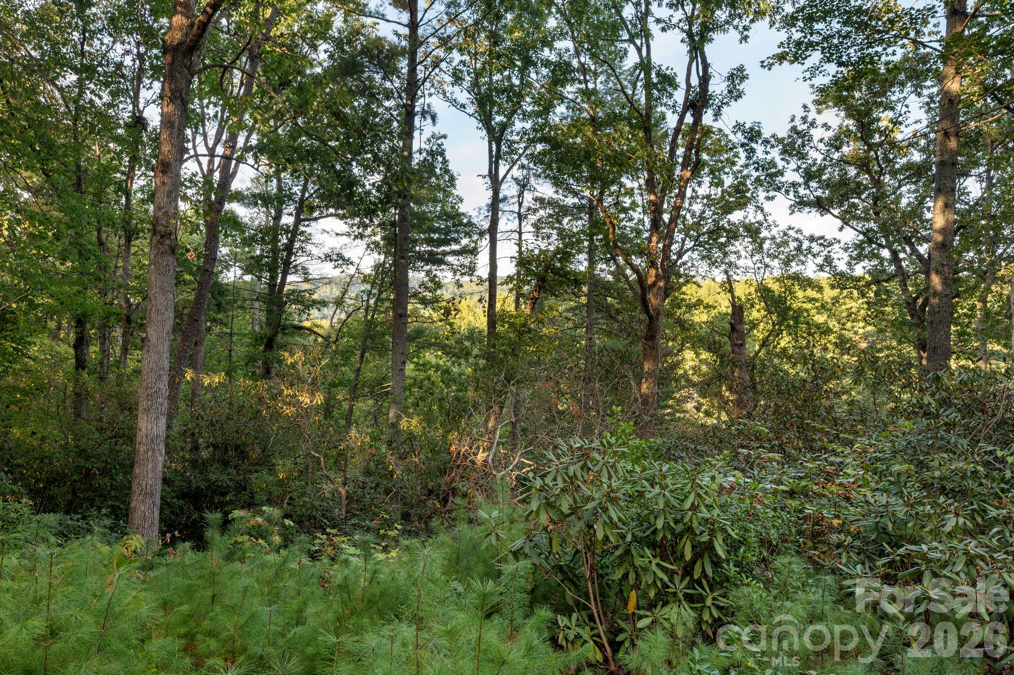 Light clearing brings year round mountain views from back of lot - 30 Hawberry Court, Asheville