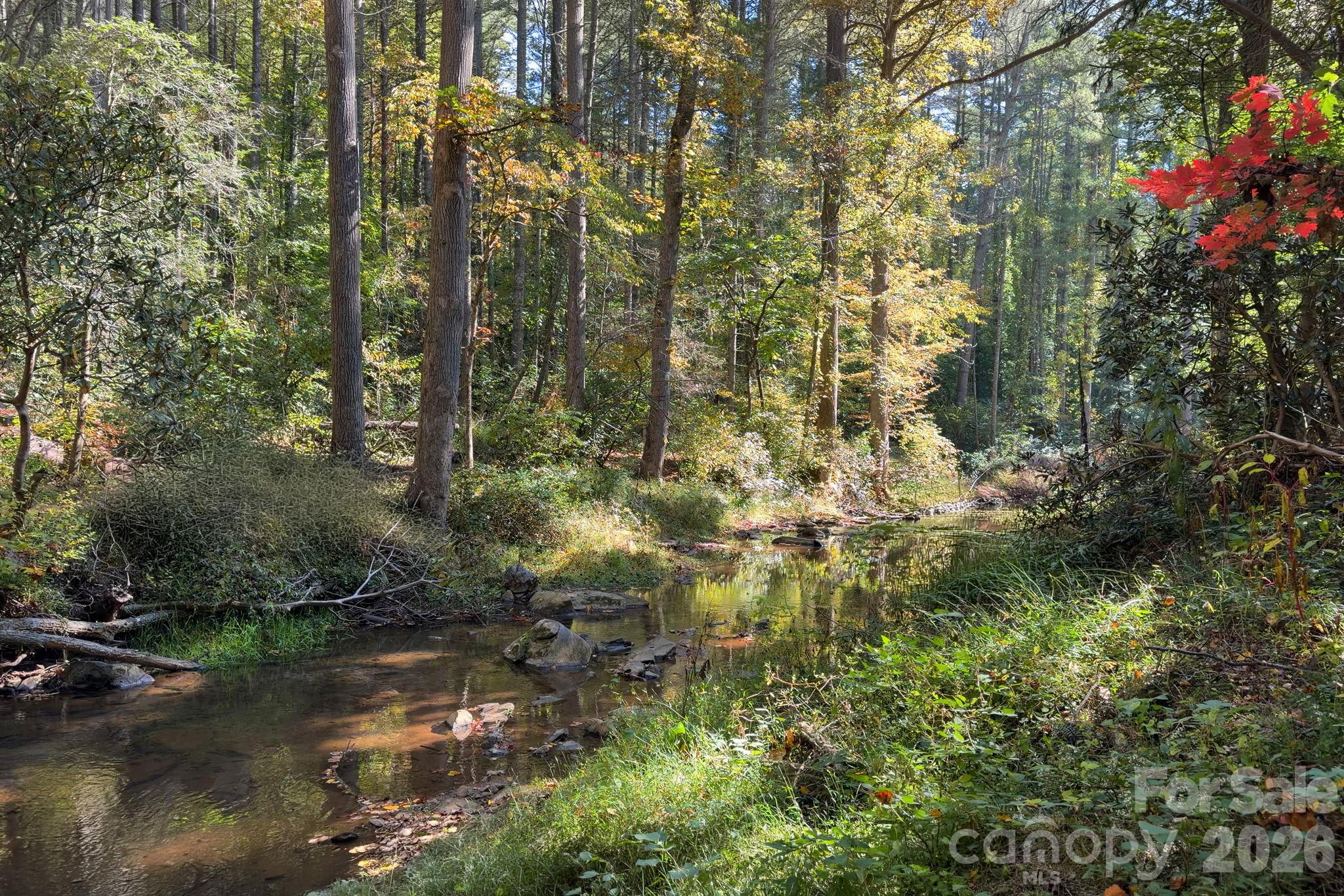 Access to Bull Creek and Warren Wilson hiking trails - 30 Hawberry Court, Asheville