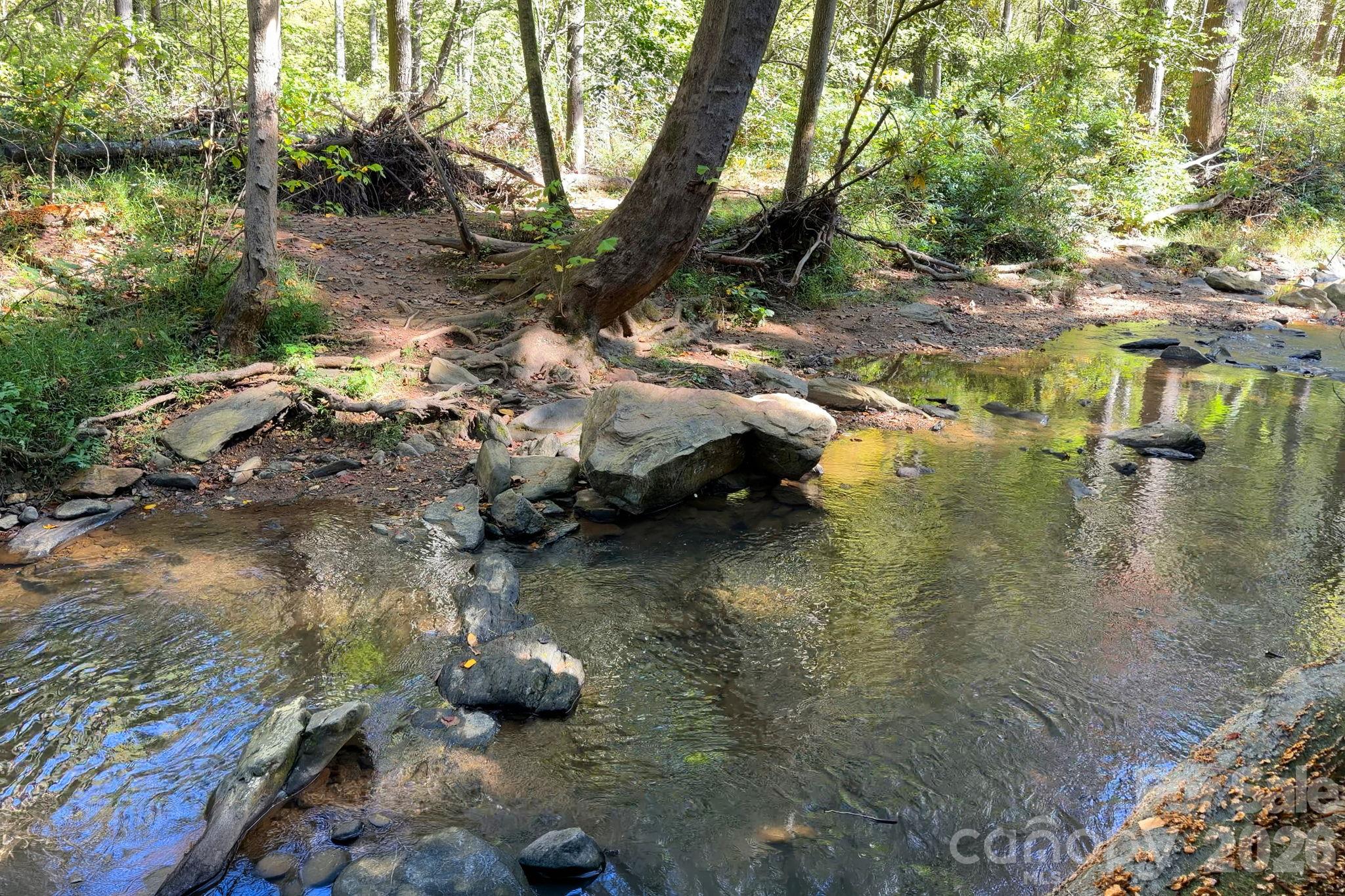 Access to Bull Creek Swimming Hole - 30 Hawberry Court, Asheville