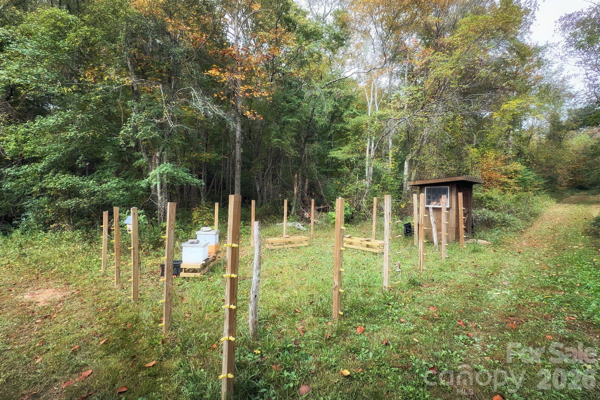 Community bee apiary - 30 Hawberry Court, Asheville