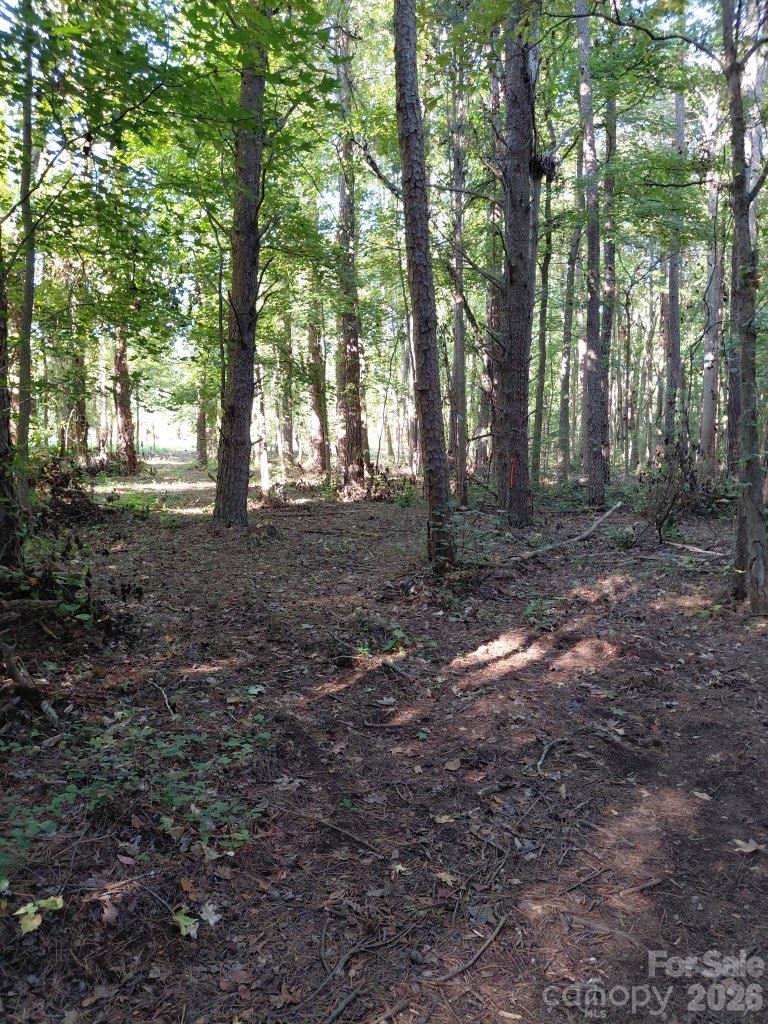 Lot at 000 NC Hwy 73 Highway, Huntersville, photo 3 of 14
