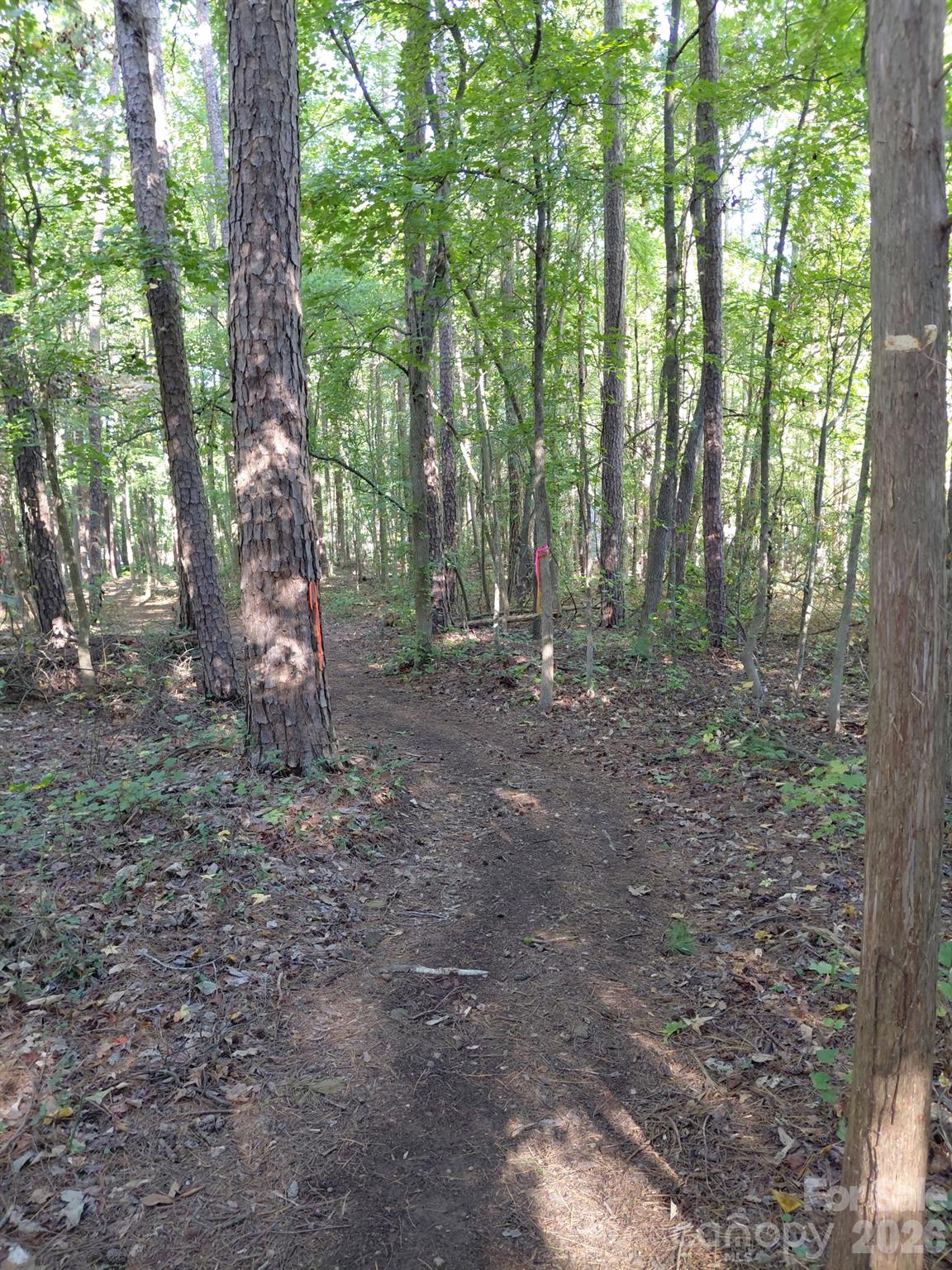 Lot at 000 NC Hwy 73 Highway, Huntersville, photo 10 of 14