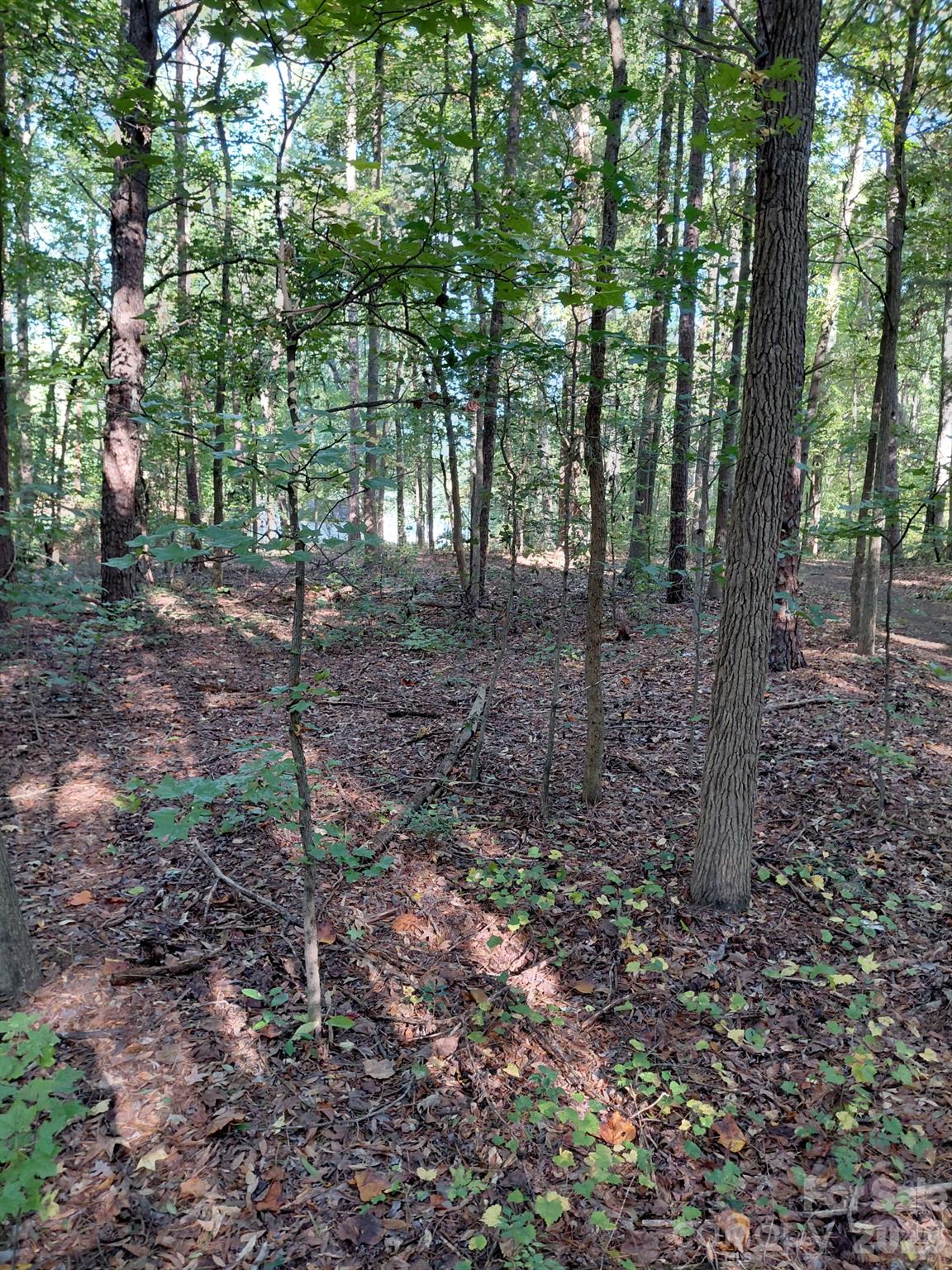 Lot at 000 NC Hwy 73 Highway, Huntersville, photo 11 of 14