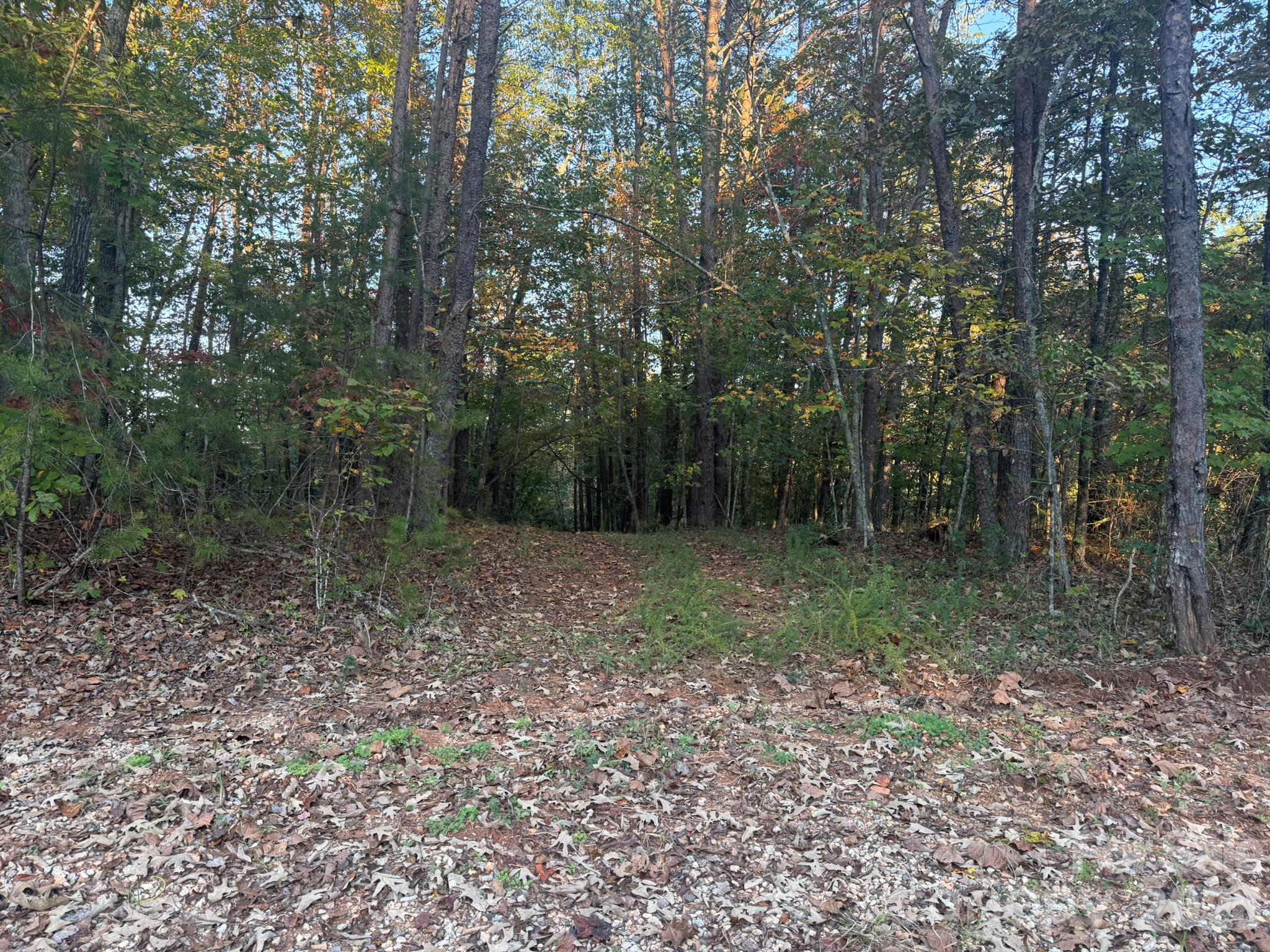 Entrance off Secluded Drive - V/L Secluded Circle, Marion