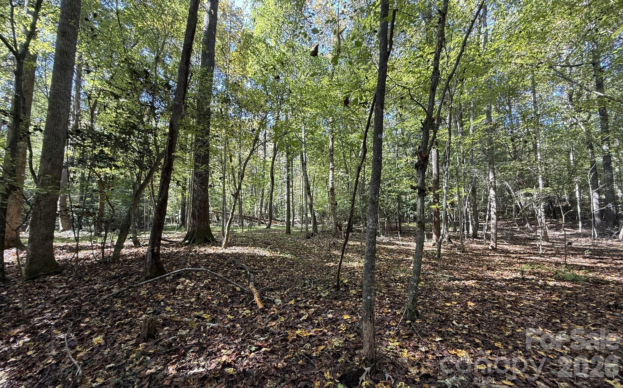 Opens up - V/L Secluded Circle, Marion