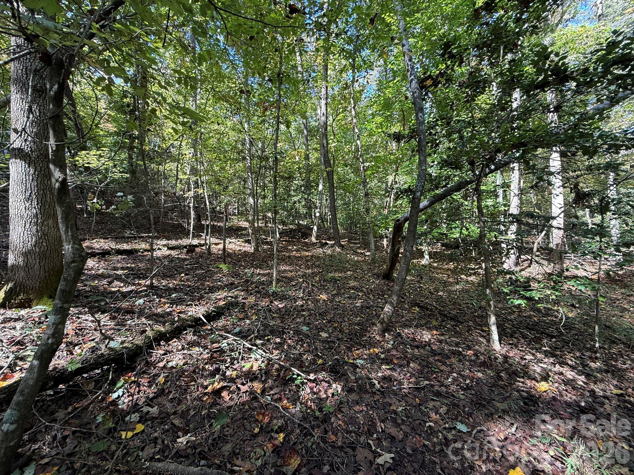 Acreage at V/L Secluded Circle, Marion, photo 11 of 48