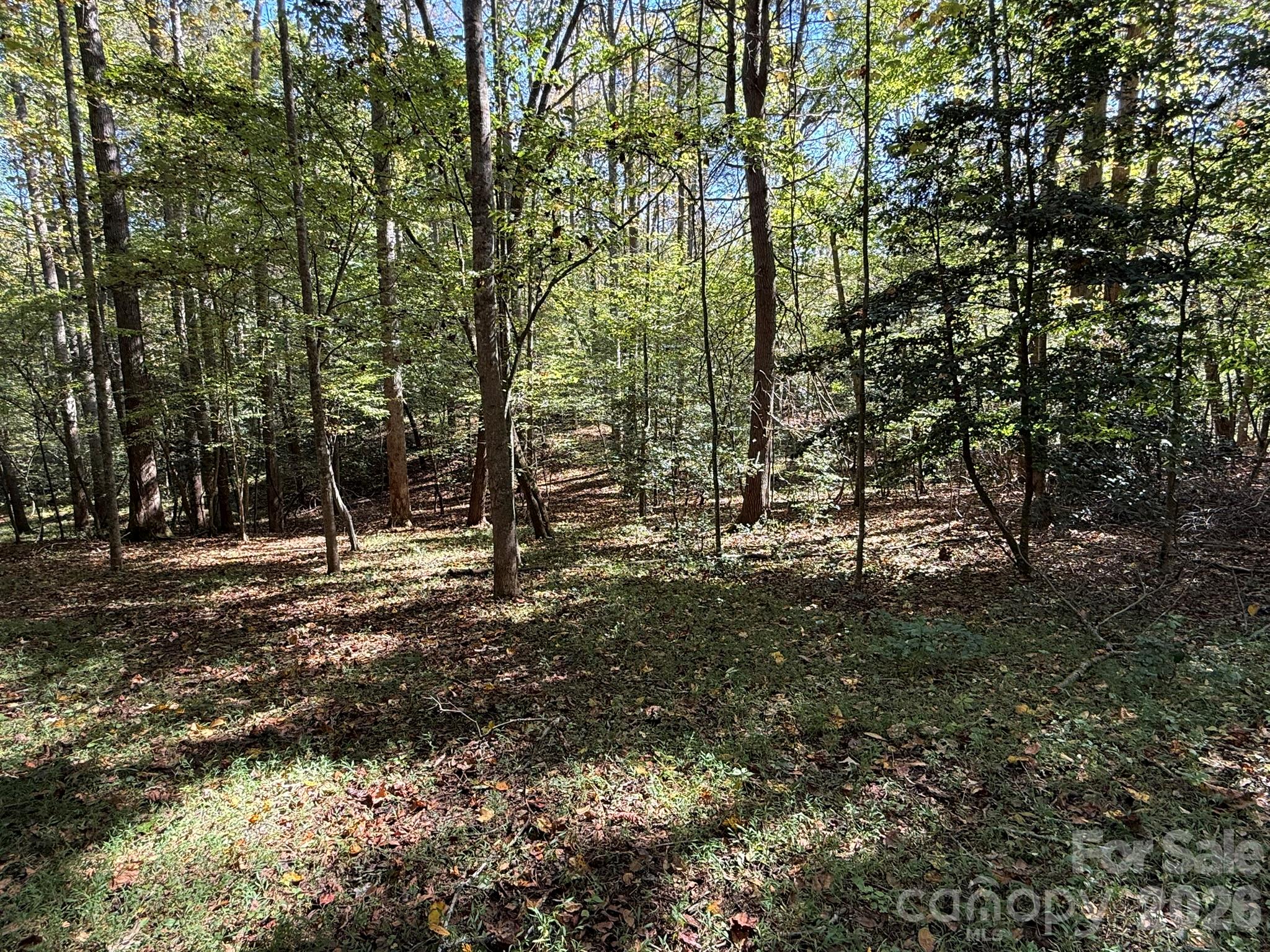 Acreage at V/L Secluded Circle, Marion, photo 12 of 48
