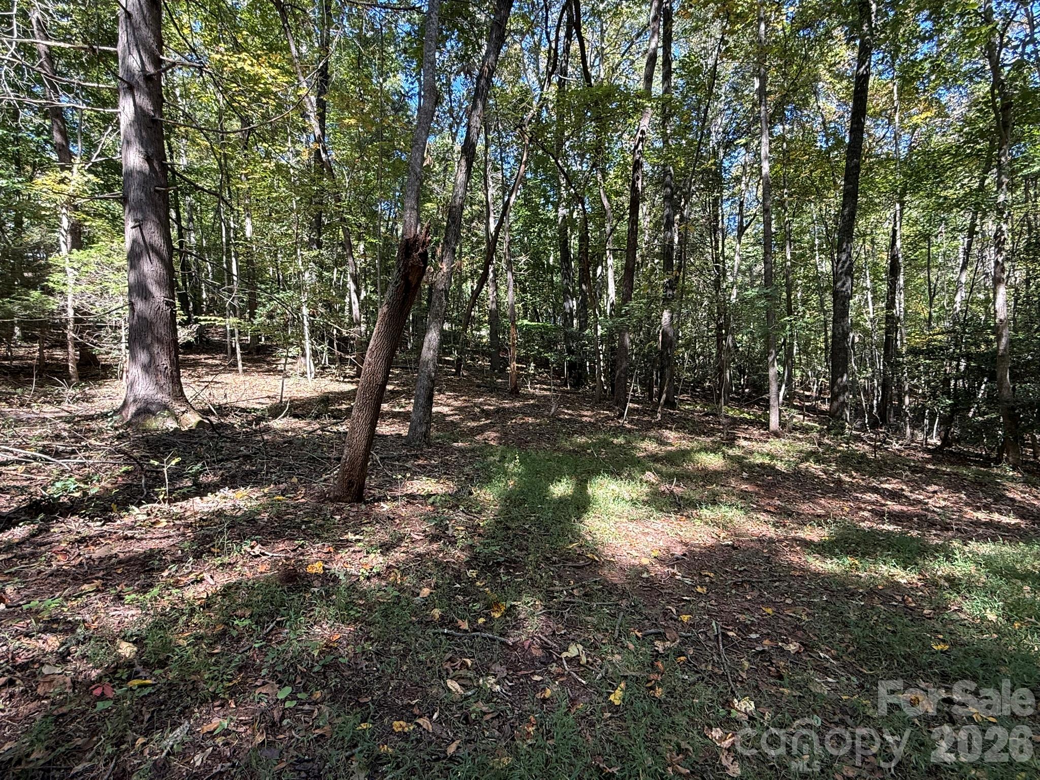 Acreage at V/L Secluded Circle, Marion, photo 14 of 48