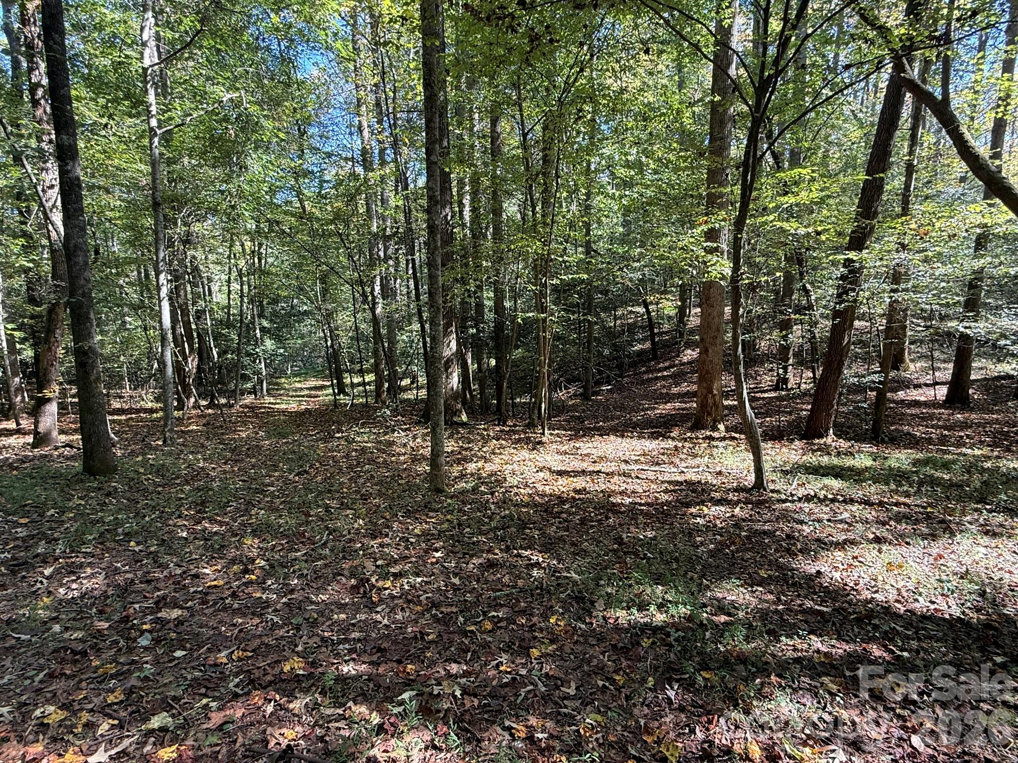 Acreage at V/L Secluded Circle, Marion, photo 16 of 48