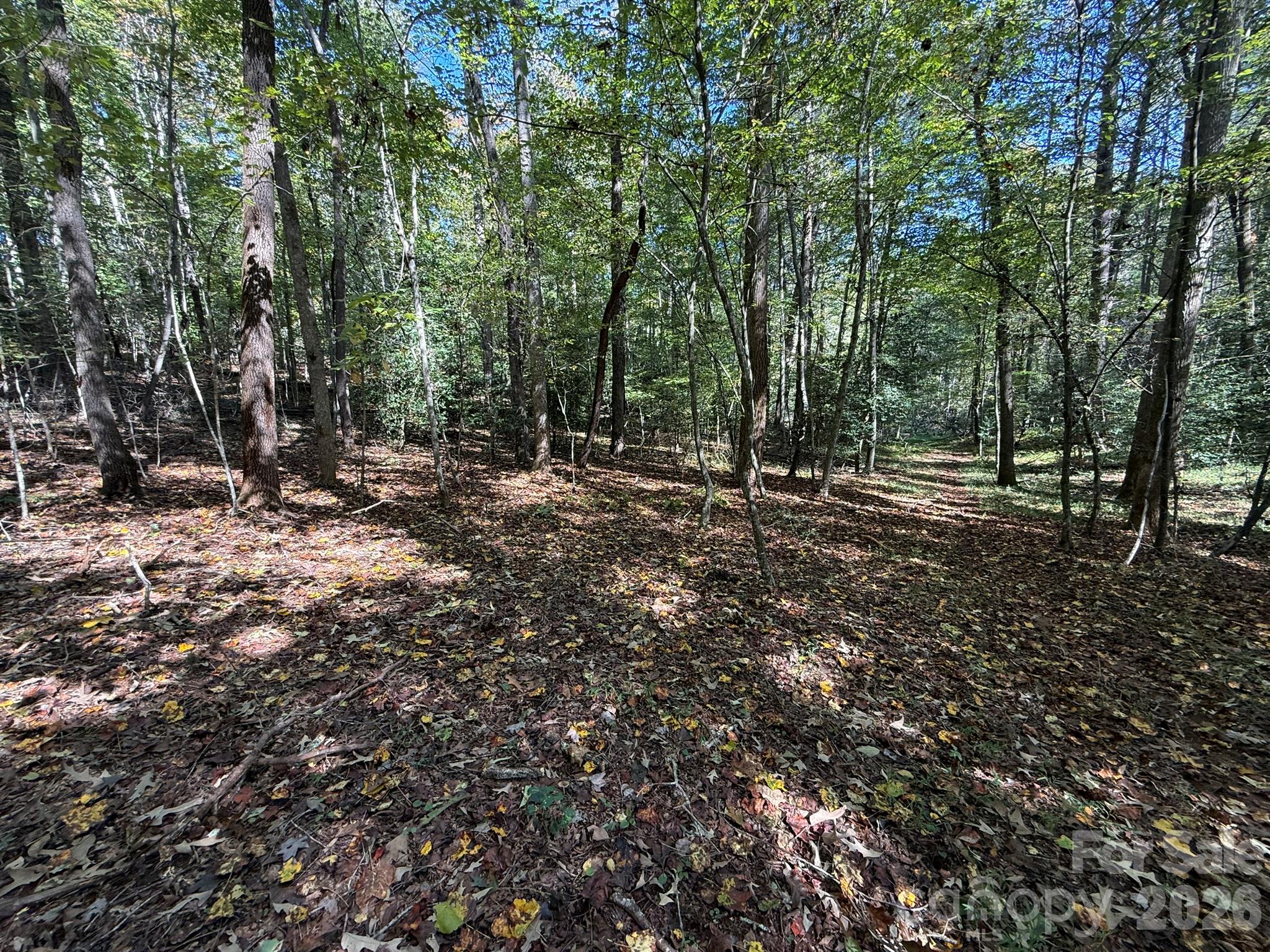 Acreage at V/L Secluded Circle, Marion, photo 18 of 48