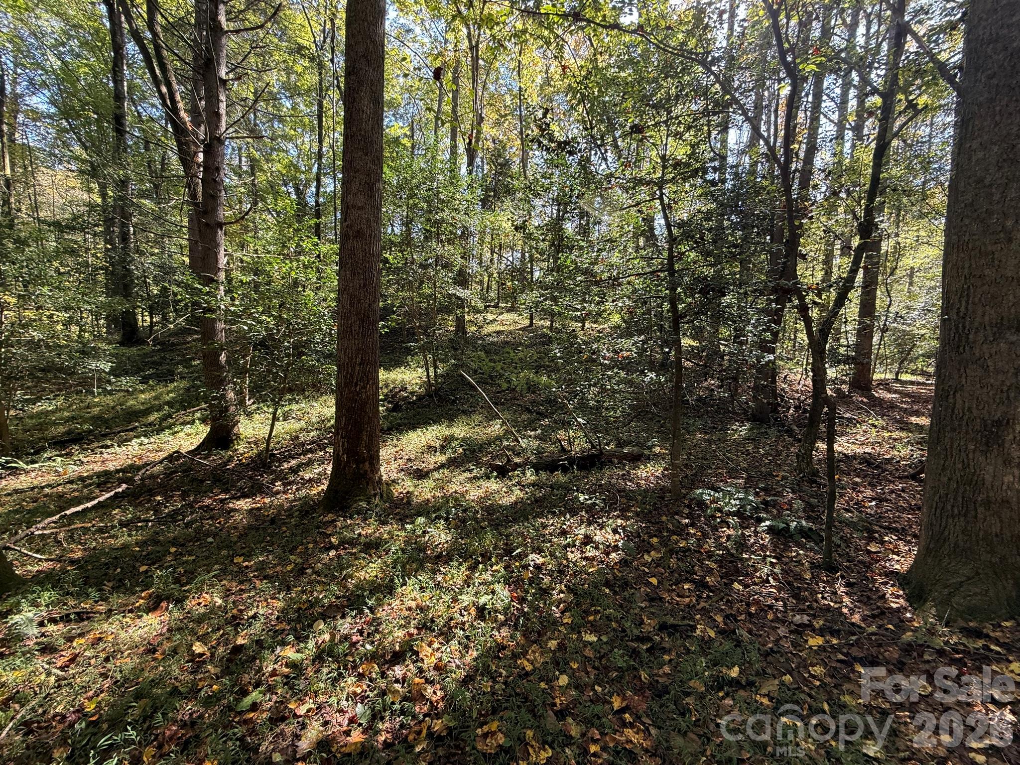 Knoll - V/L Secluded Circle, Marion