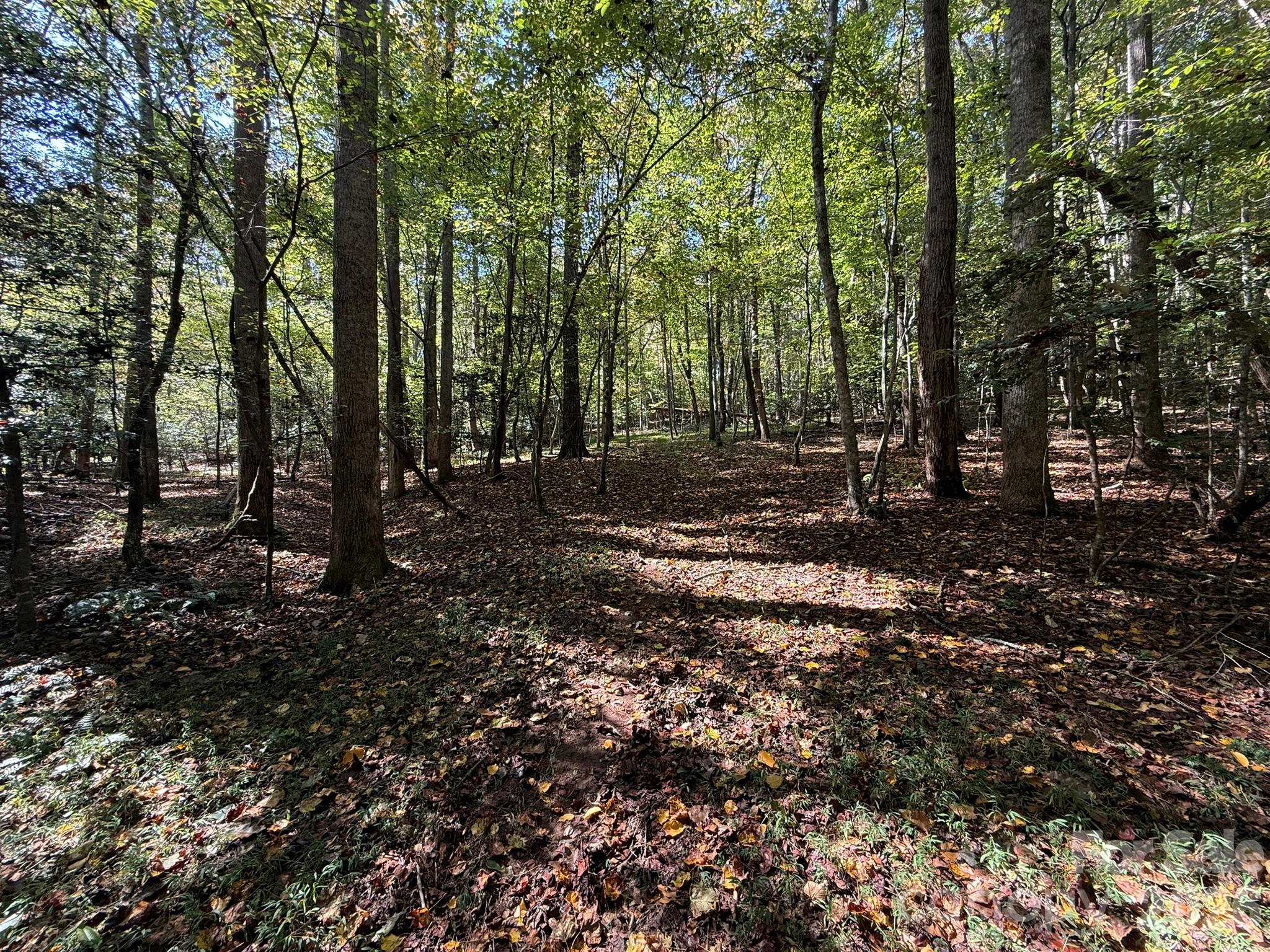 Acreage at V/L Secluded Circle, Marion, photo 20 of 48