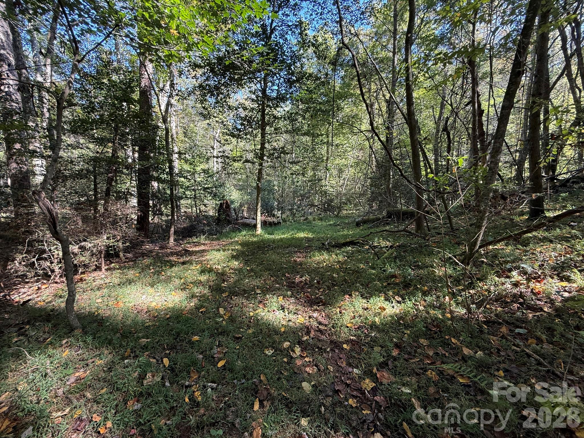 Leading to the creek - V/L Secluded Circle, Marion