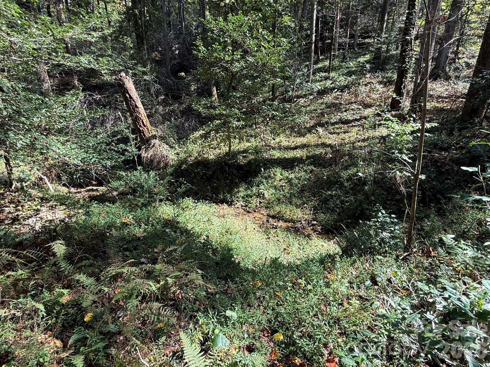 Creek - V/L Secluded Circle, Marion