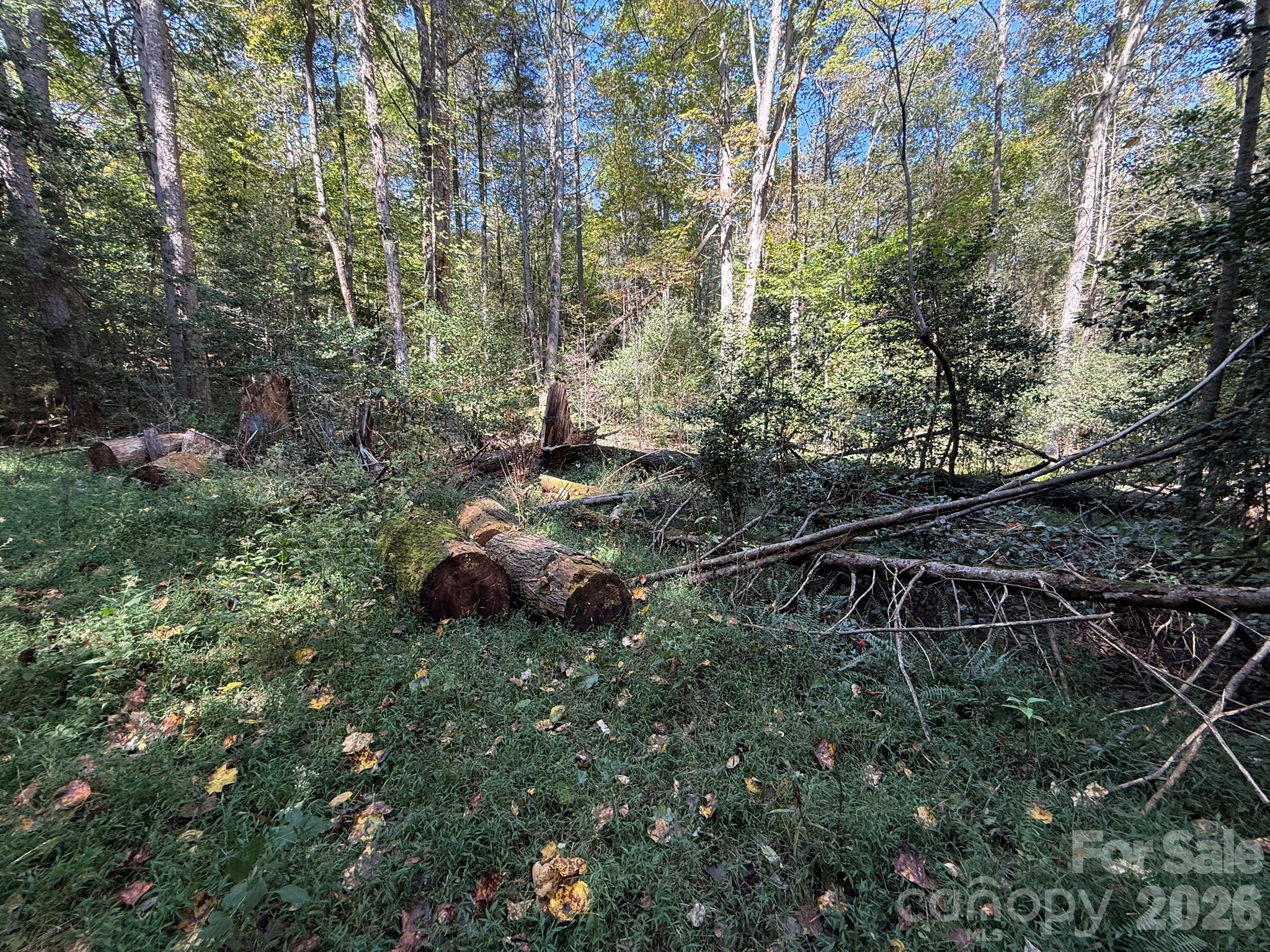 Head start on clearing from fallen trees being cut - V/L Secluded Circle, Marion