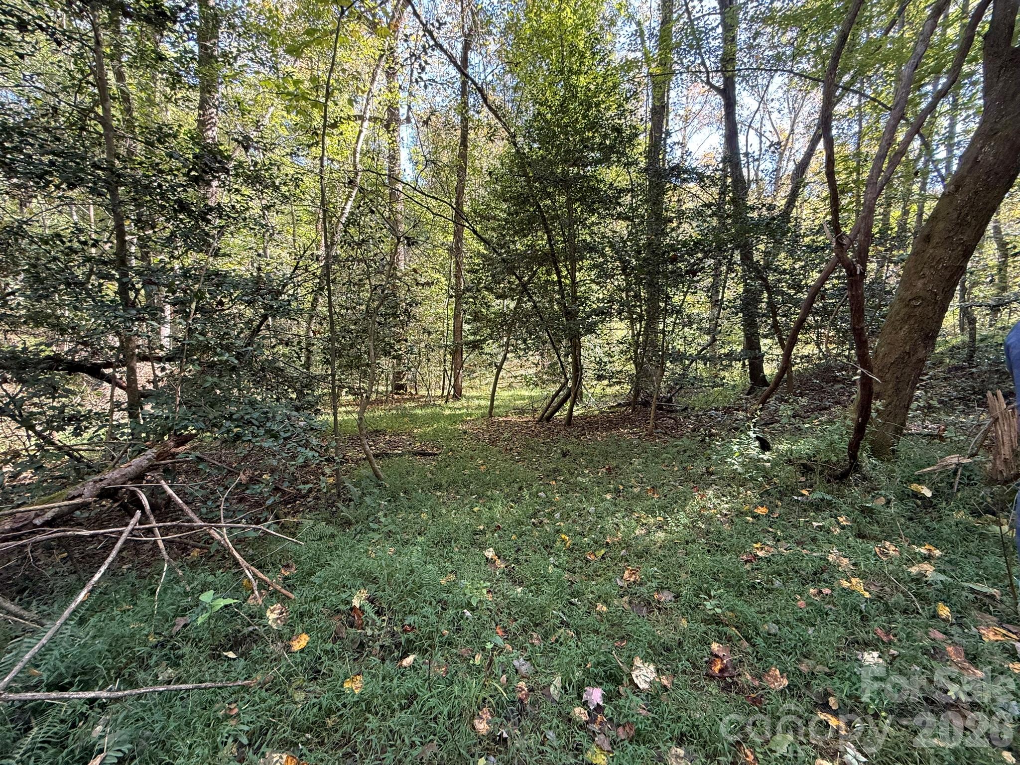 Acreage at V/L Secluded Circle, Marion, photo 29 of 48