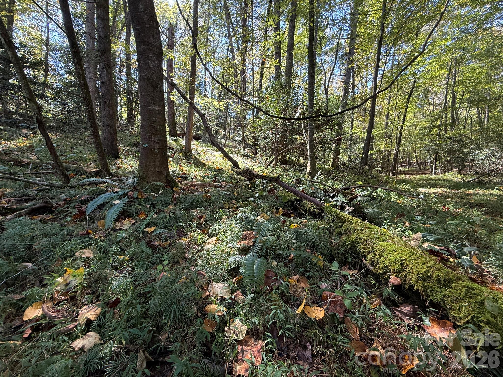 Knoll and access to the right - V/L Secluded Circle, Marion