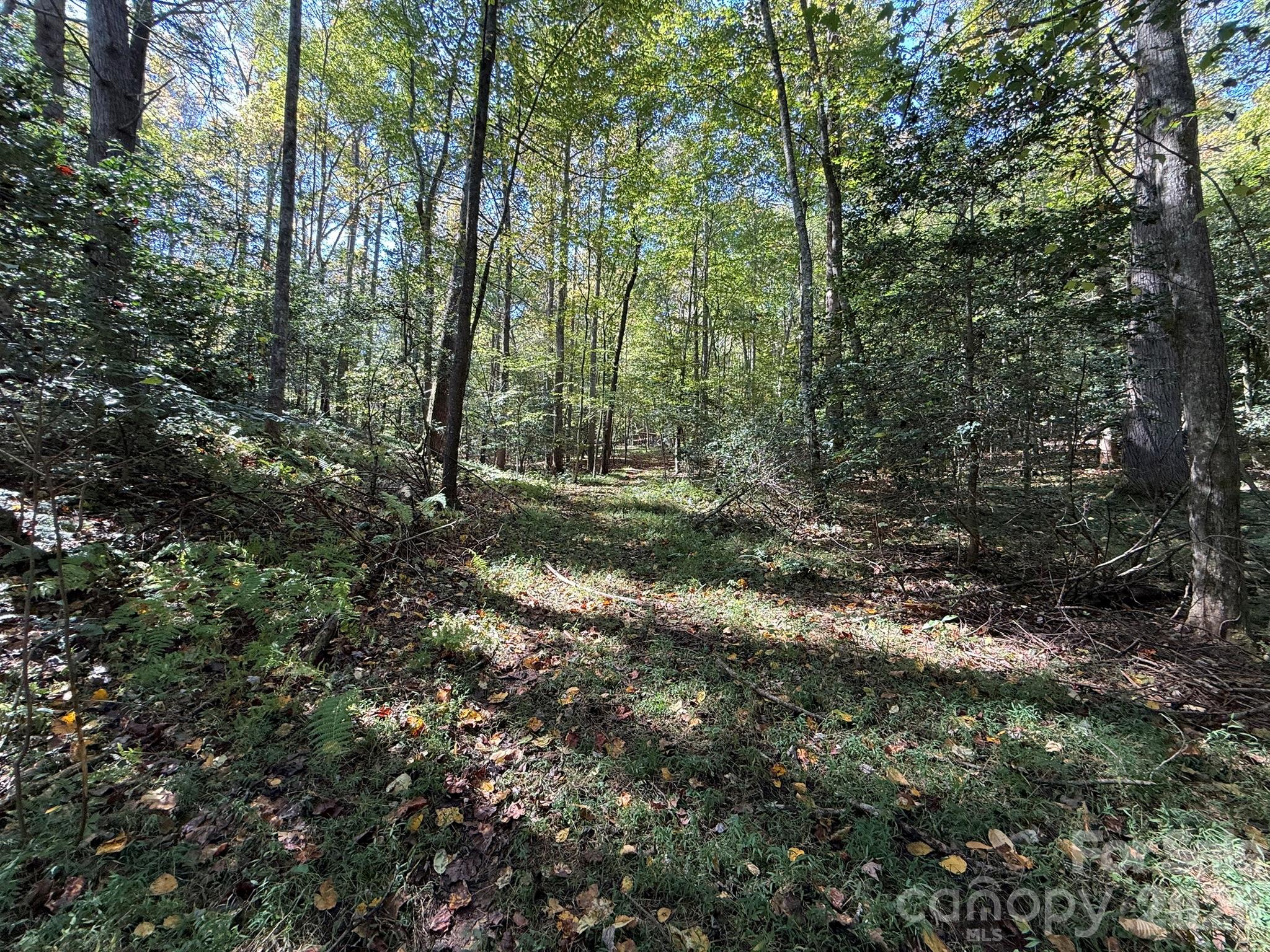 Looking back up the access - V/L Secluded Circle, Marion