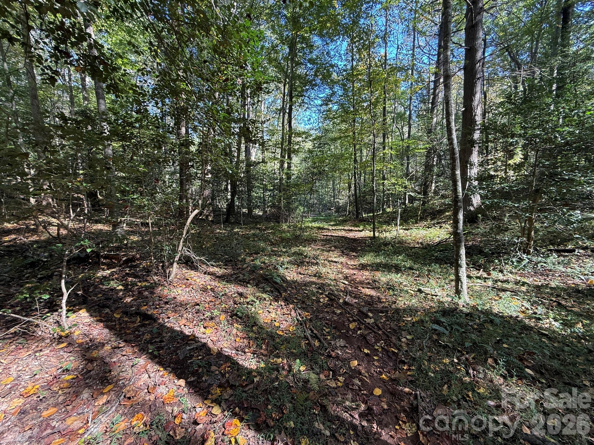 Access - V/L Secluded Circle, Marion
